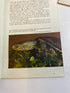 Lot of Vintage Pet Care Ephemera Enjoy Your Turtle Finch Aquarium 1960s