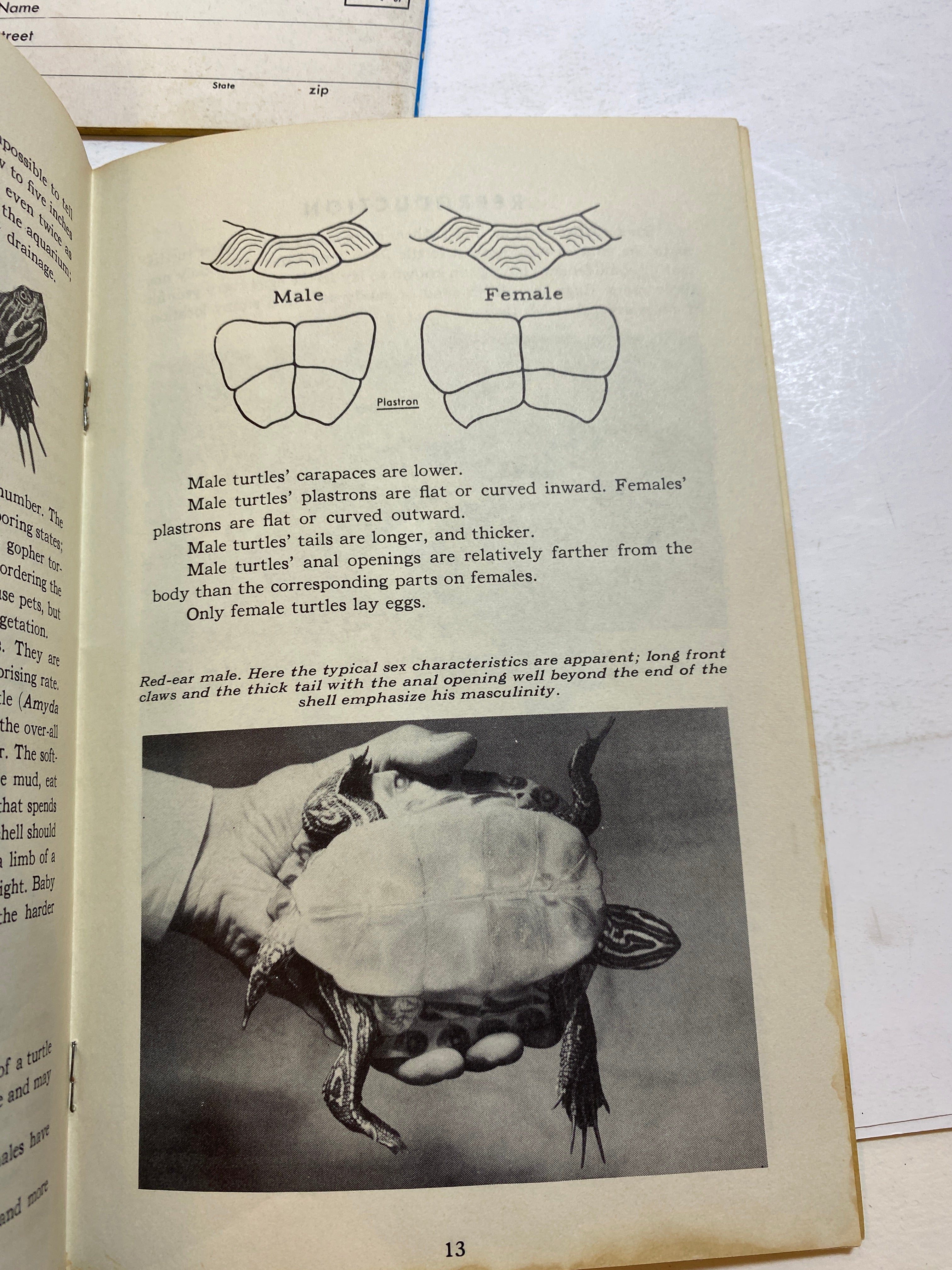 Lot of Vintage Pet Care Ephemera Enjoy Your Turtle Finch Aquarium 1960s