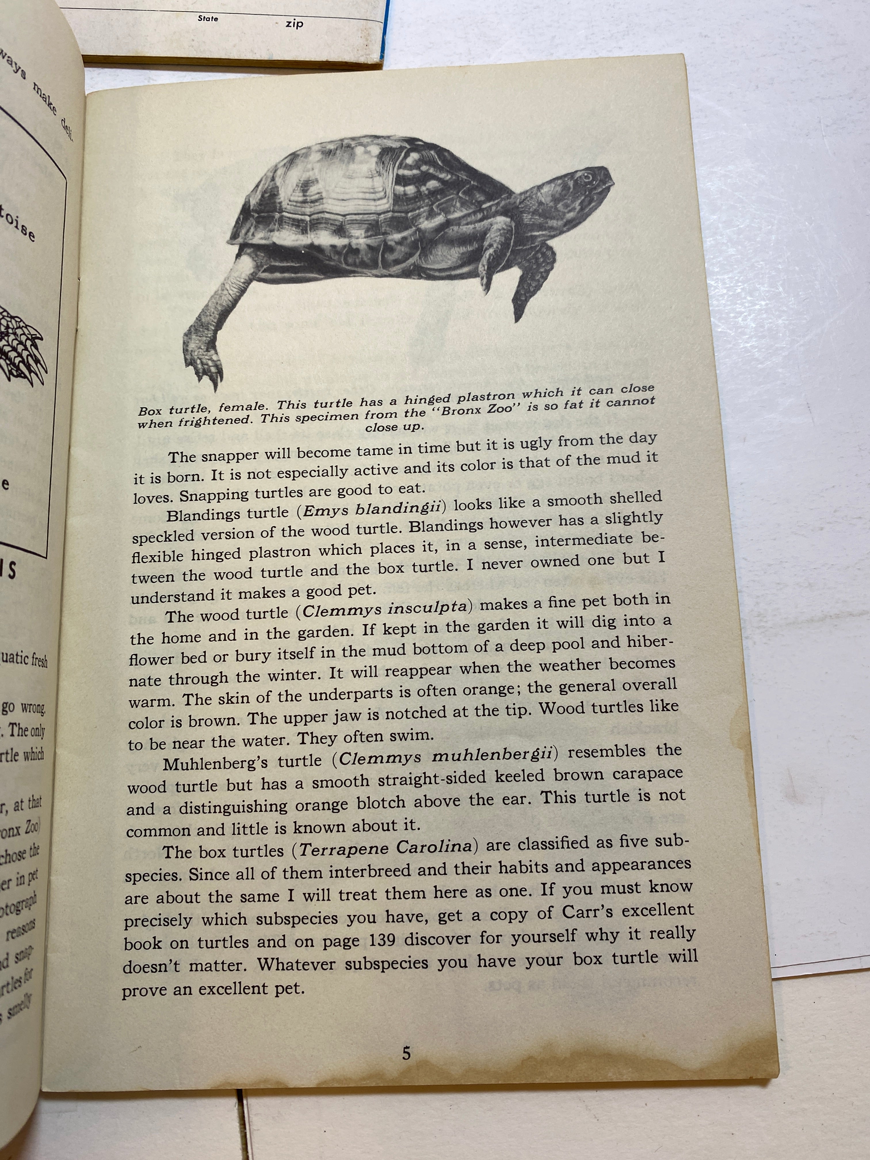 Lot of Vintage Pet Care Ephemera Enjoy Your Turtle Finch Aquarium 1960s