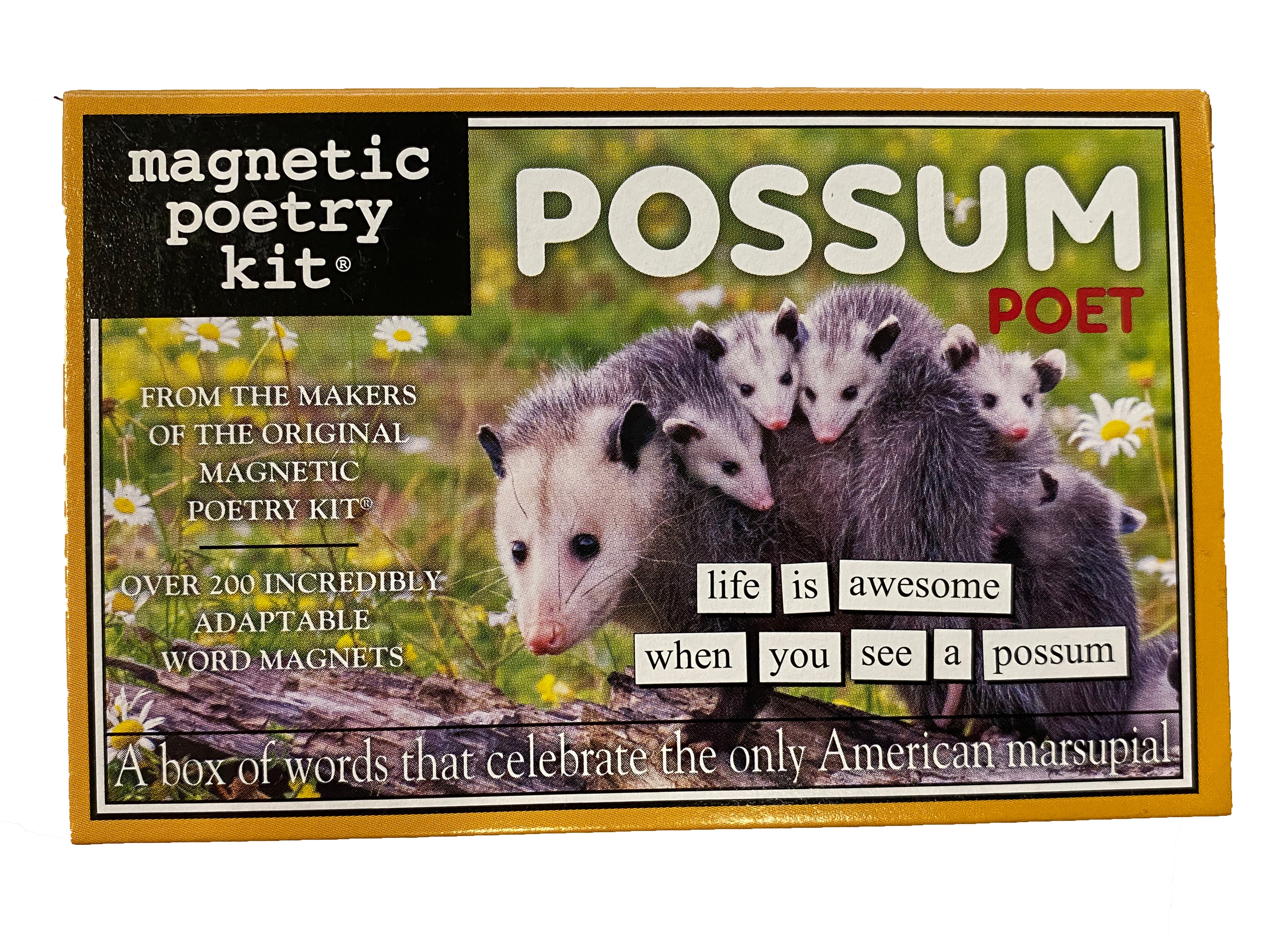 Magnetic Poetry Kit