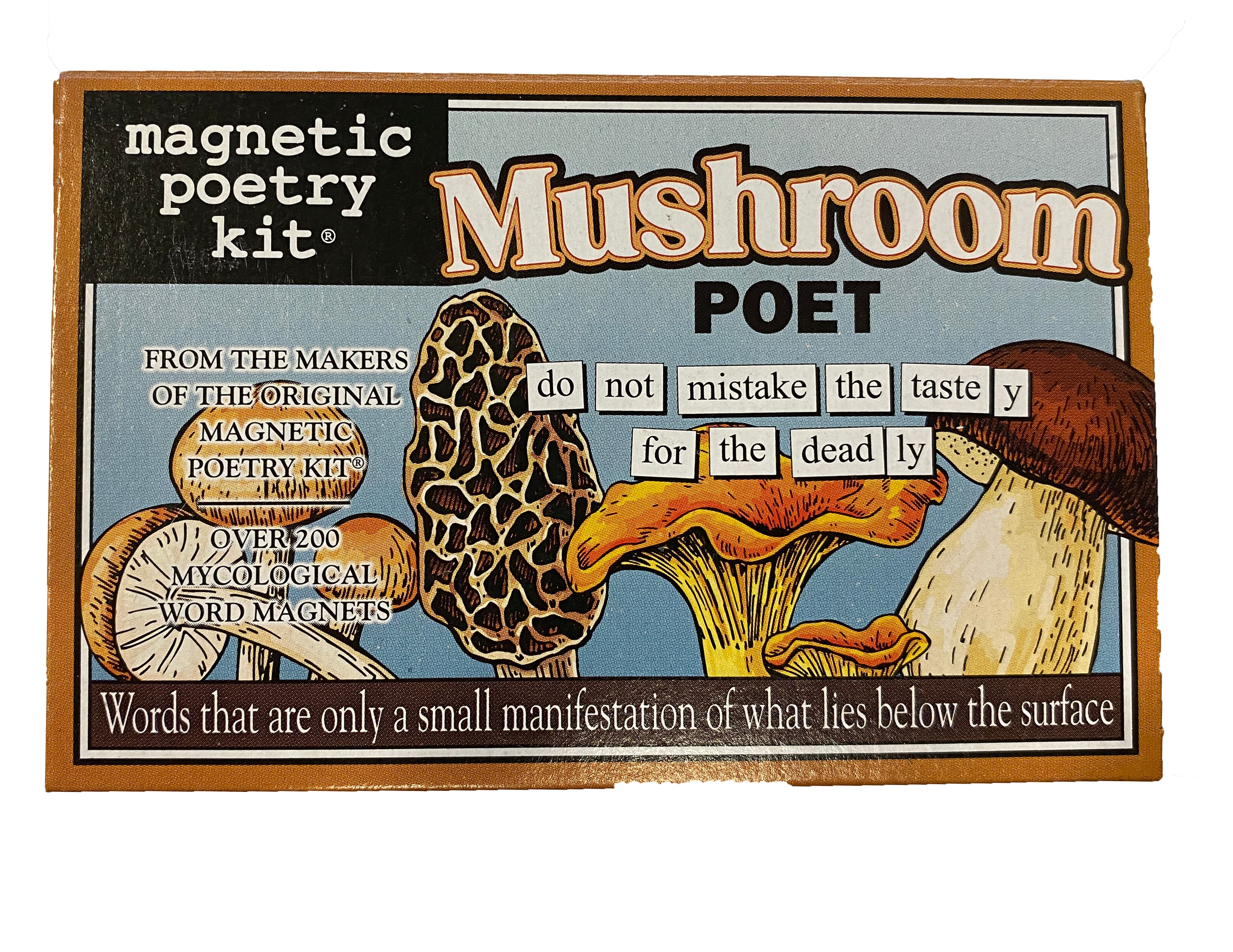 Magnetic Poetry Kit