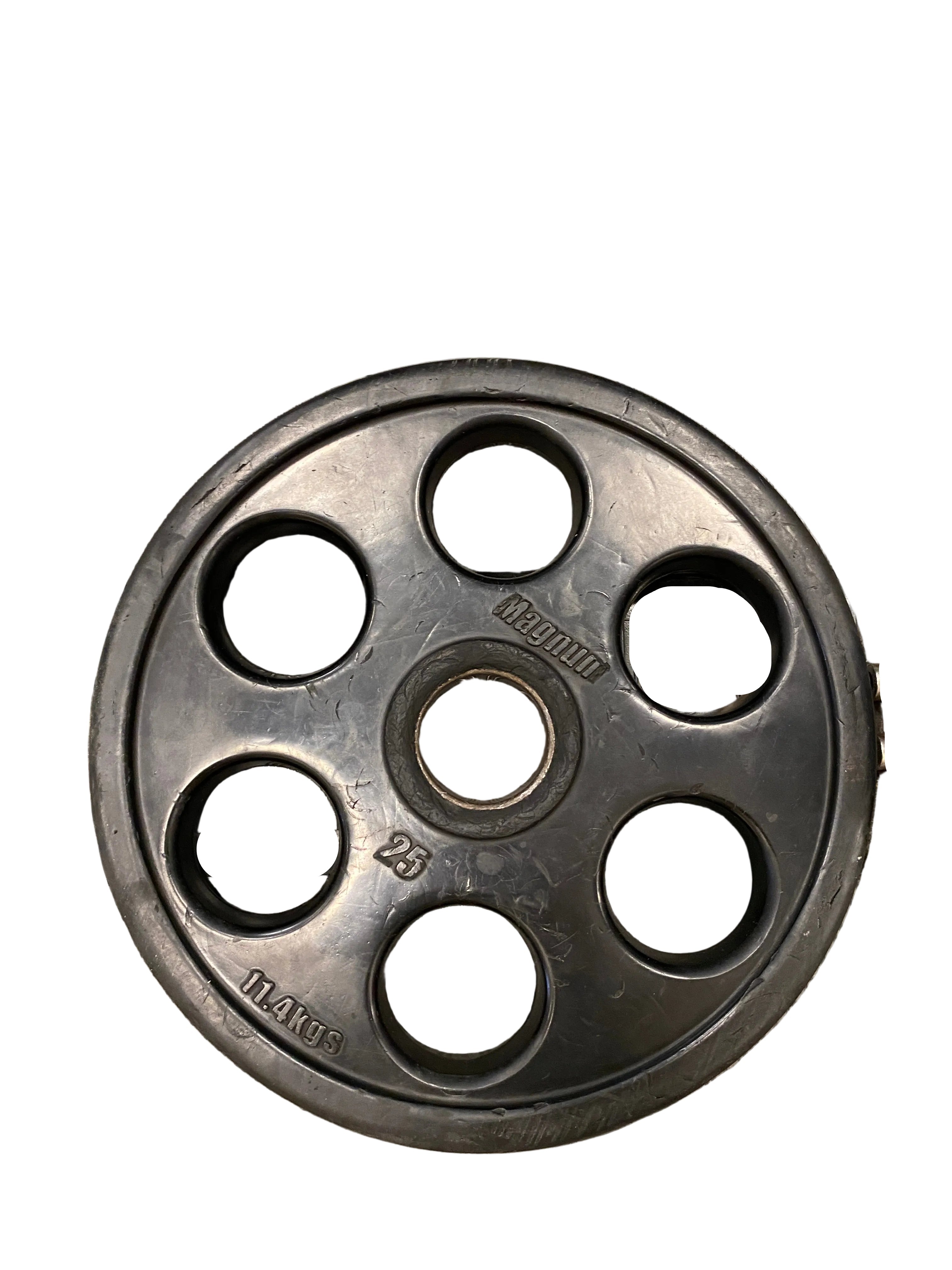 Magnum 25 lb Plate
