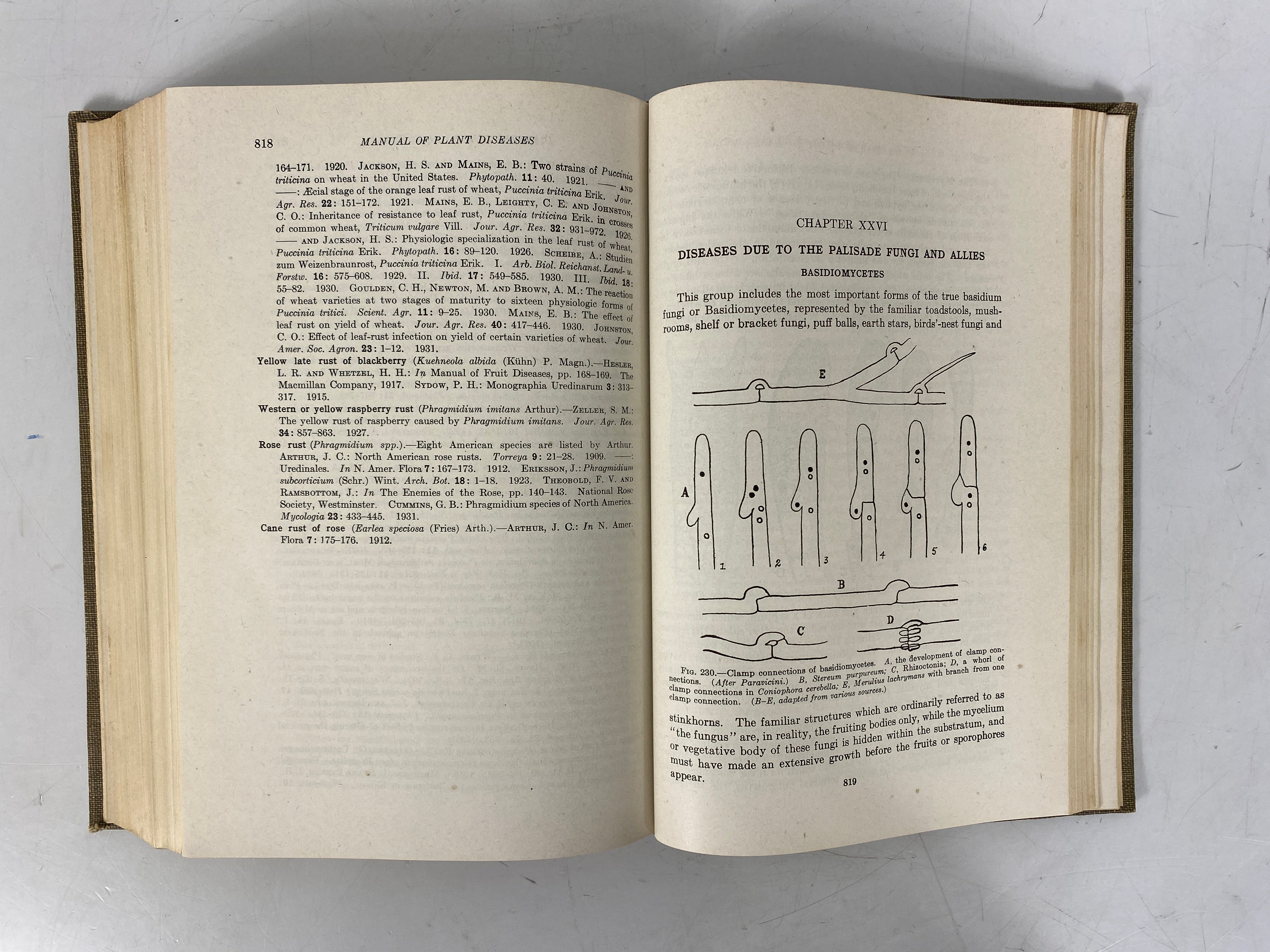 Manual of Plant Diseases by F. Deforest Heald 1933 2nd Edition HC