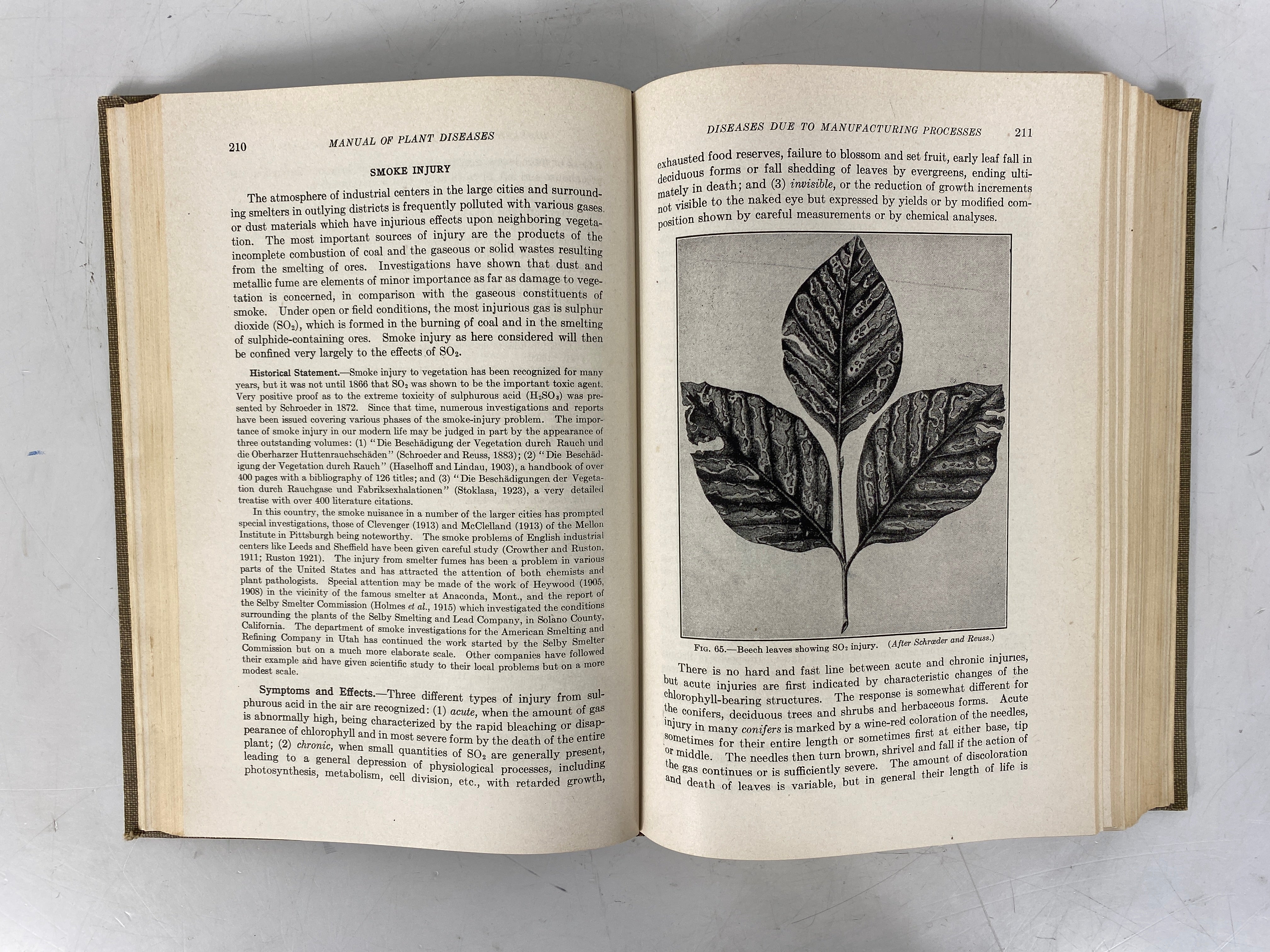Manual of Plant Diseases by F. Deforest Heald 1933 2nd Edition HC