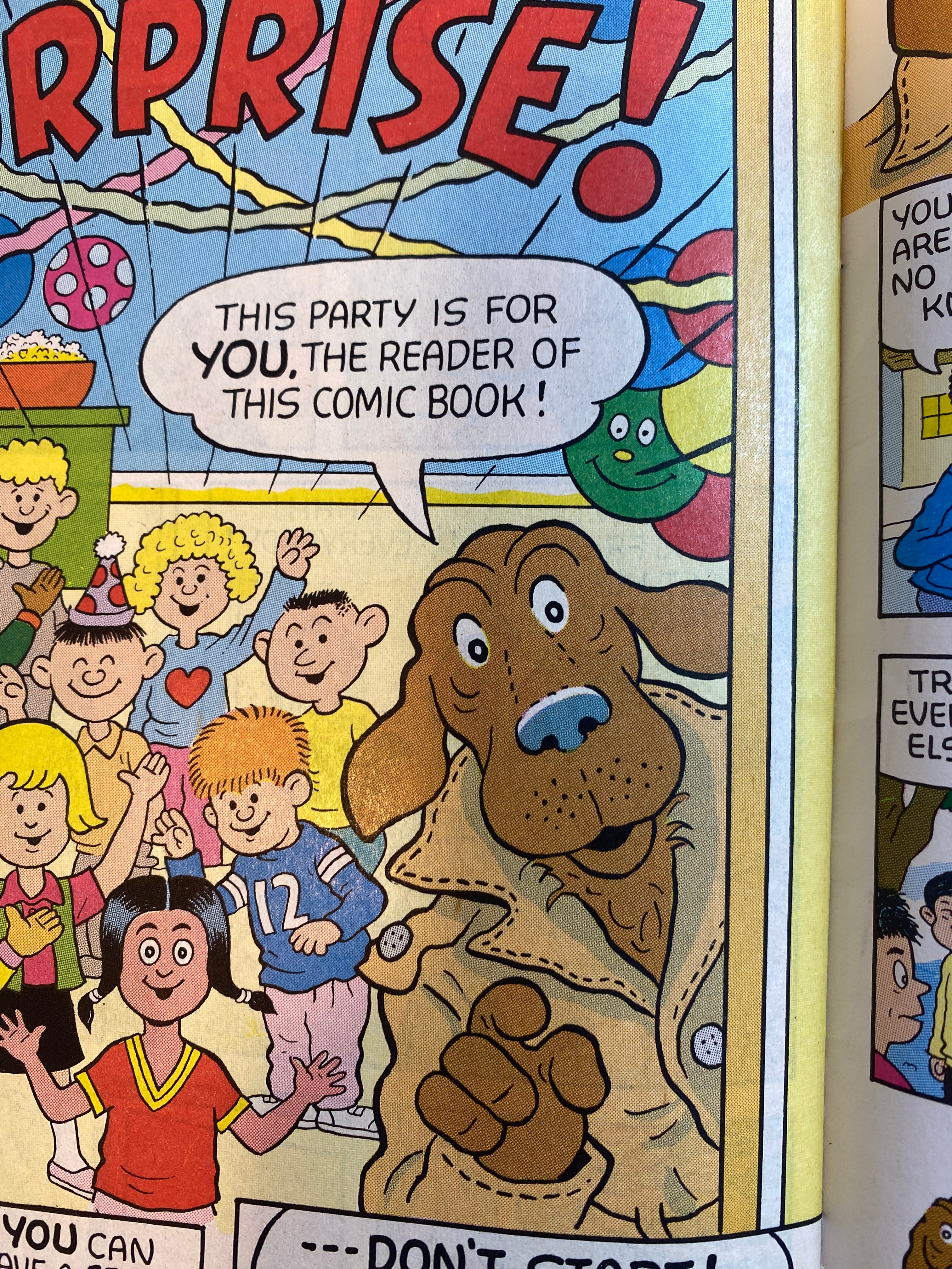 McGruff's Surprise Party Comic 1989