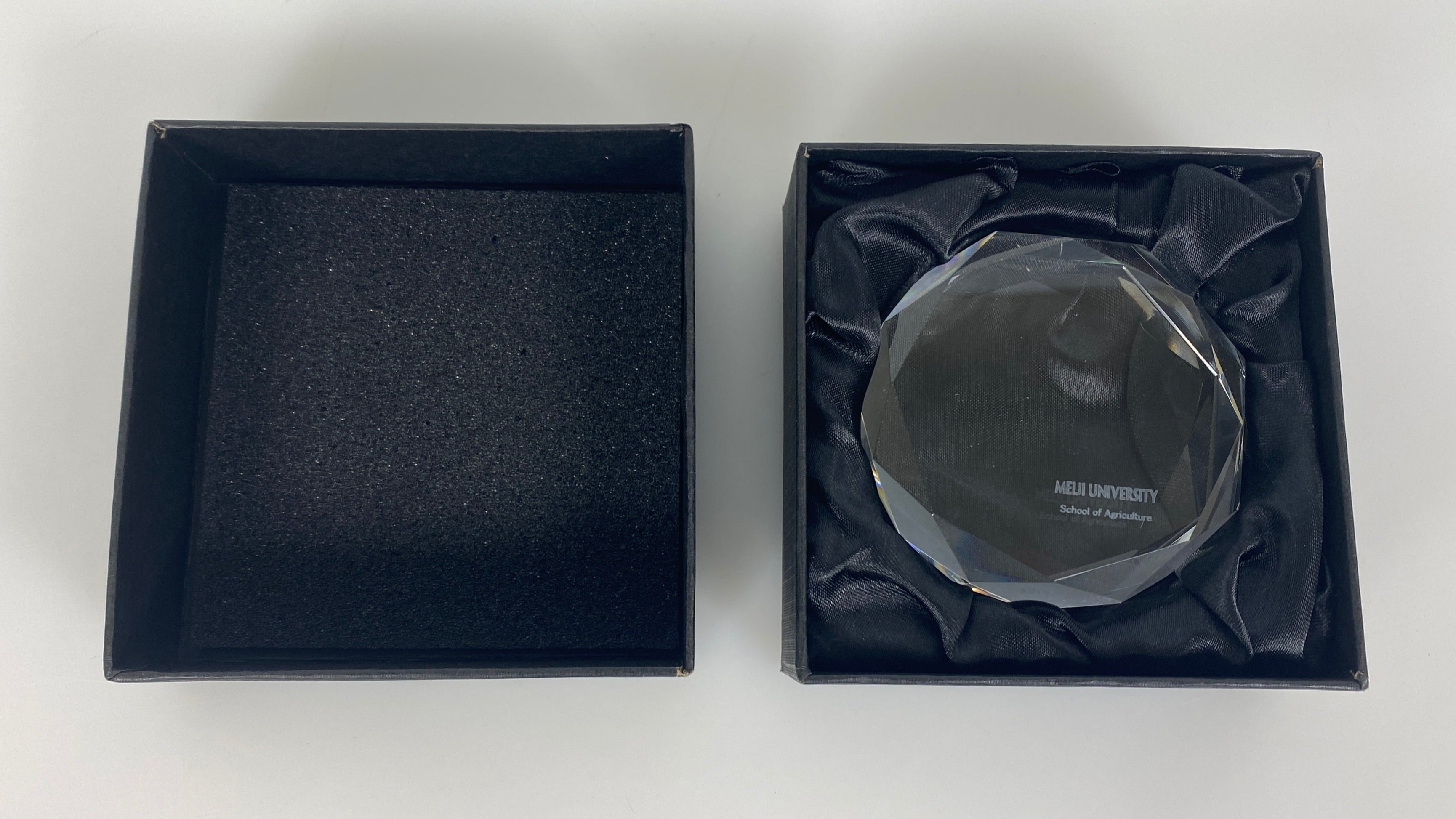 Meiji University School of Agriculture Glass Paperweight