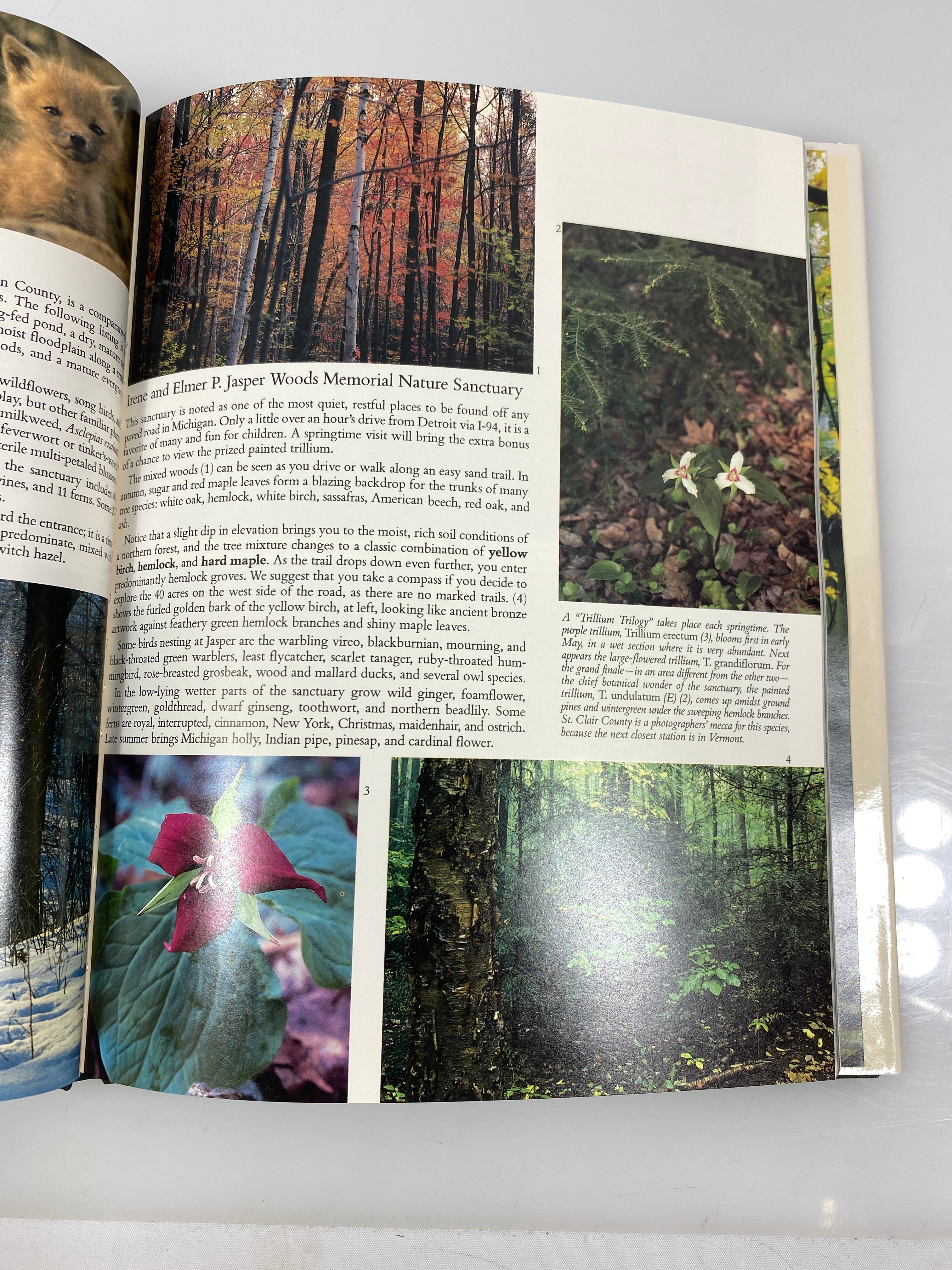Michigan Nature Association in Retrospect Daubendiek/Newnan 1988 HCDJ