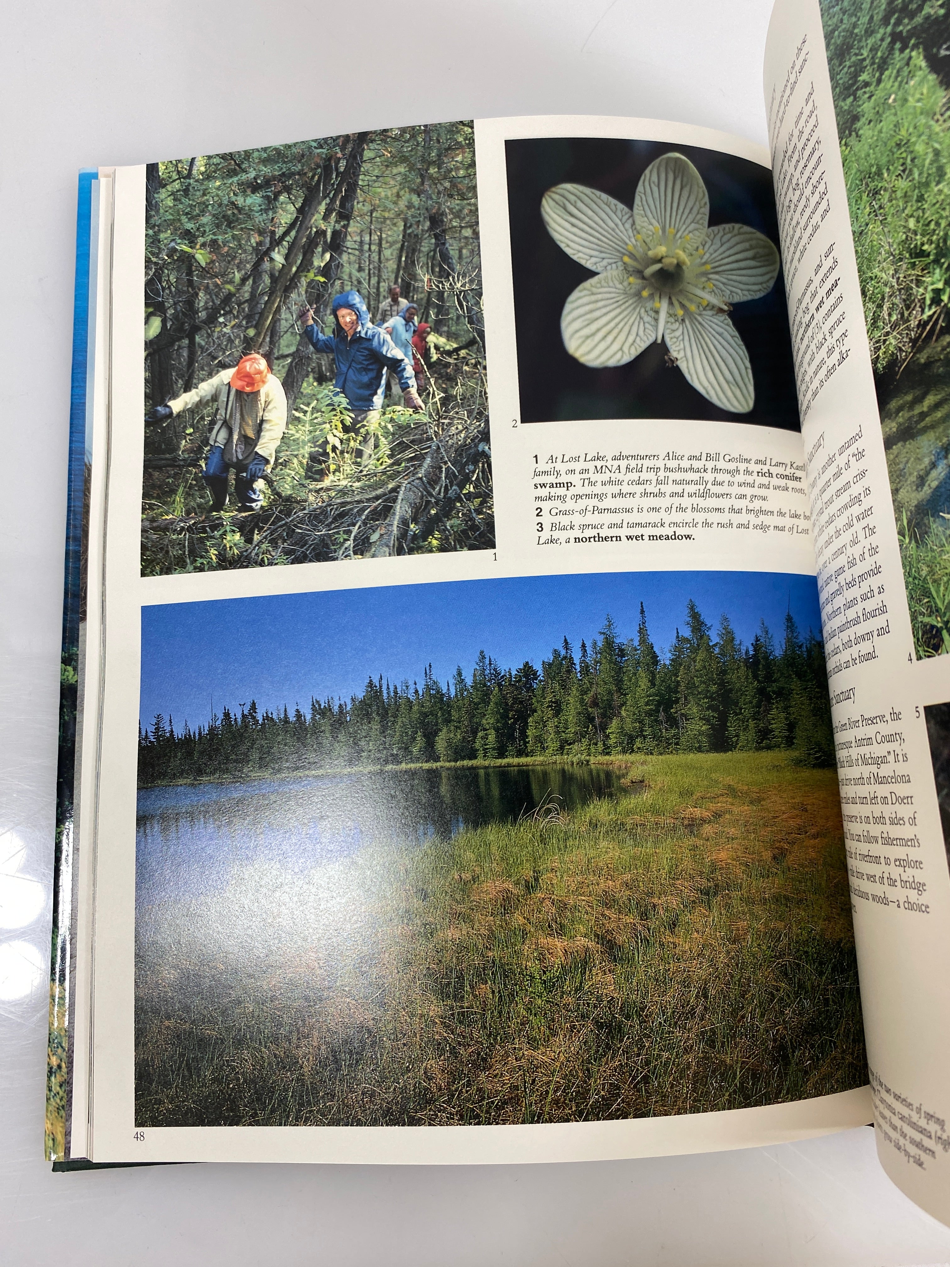 Michigan Nature Association in Retrospect Daubendiek/Newnan 1988 HCDJ