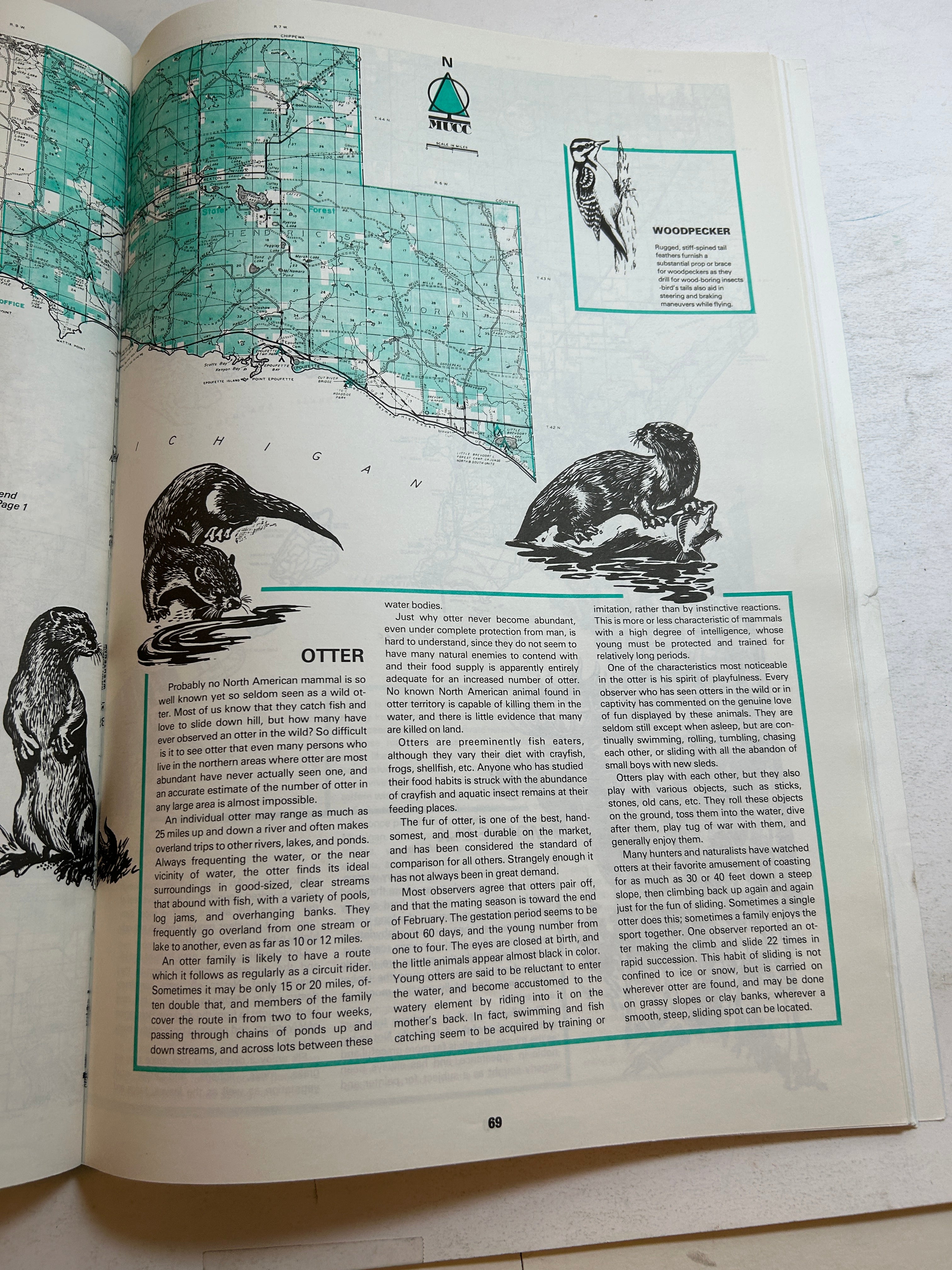 Michigan Outdoors: MI County Map Guide Oversized SC