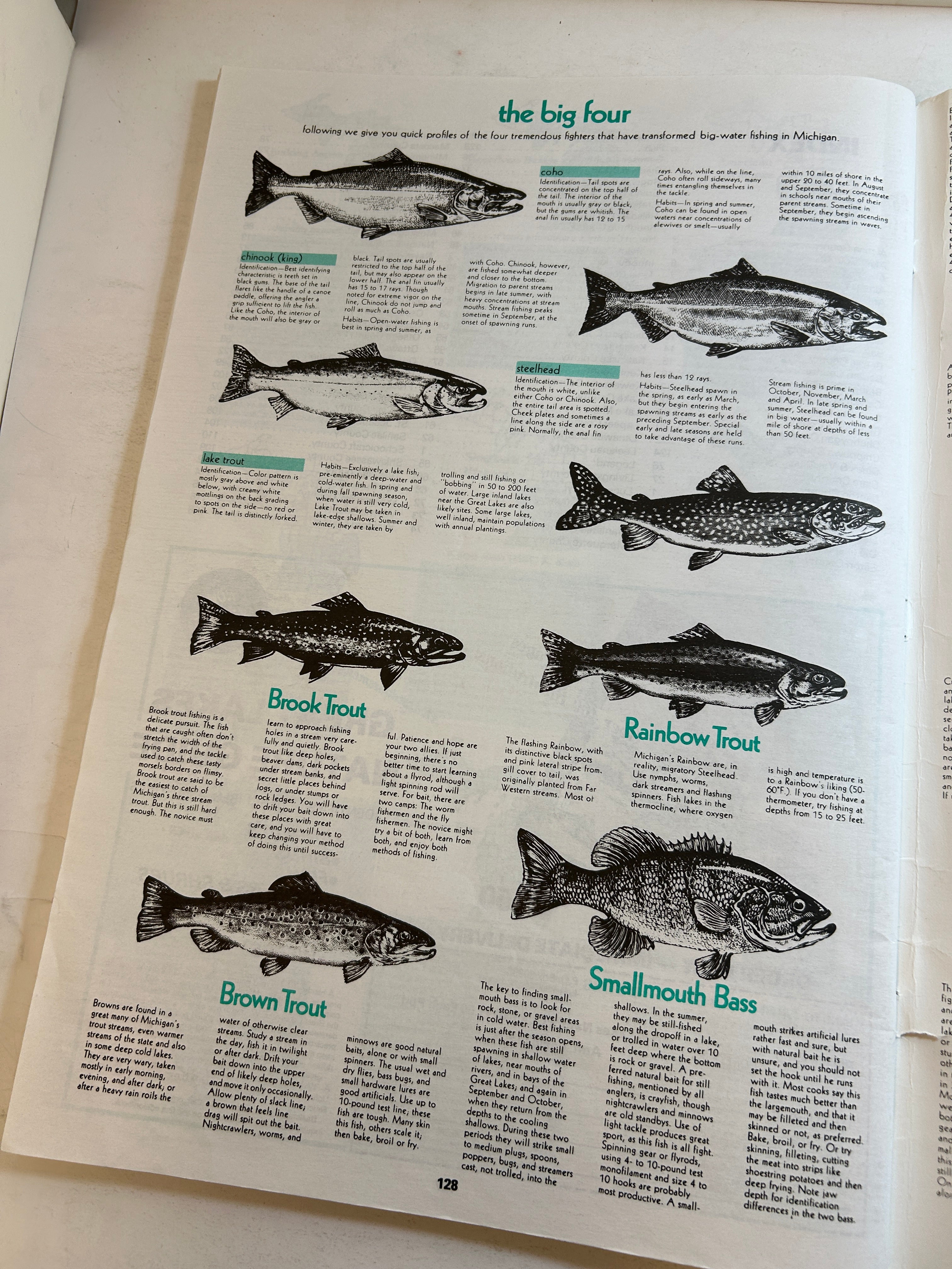 Michigan Outdoors: MI County Map Guide Oversized SC