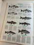 Michigan Outdoors: MI County Map Guide Oversized SC