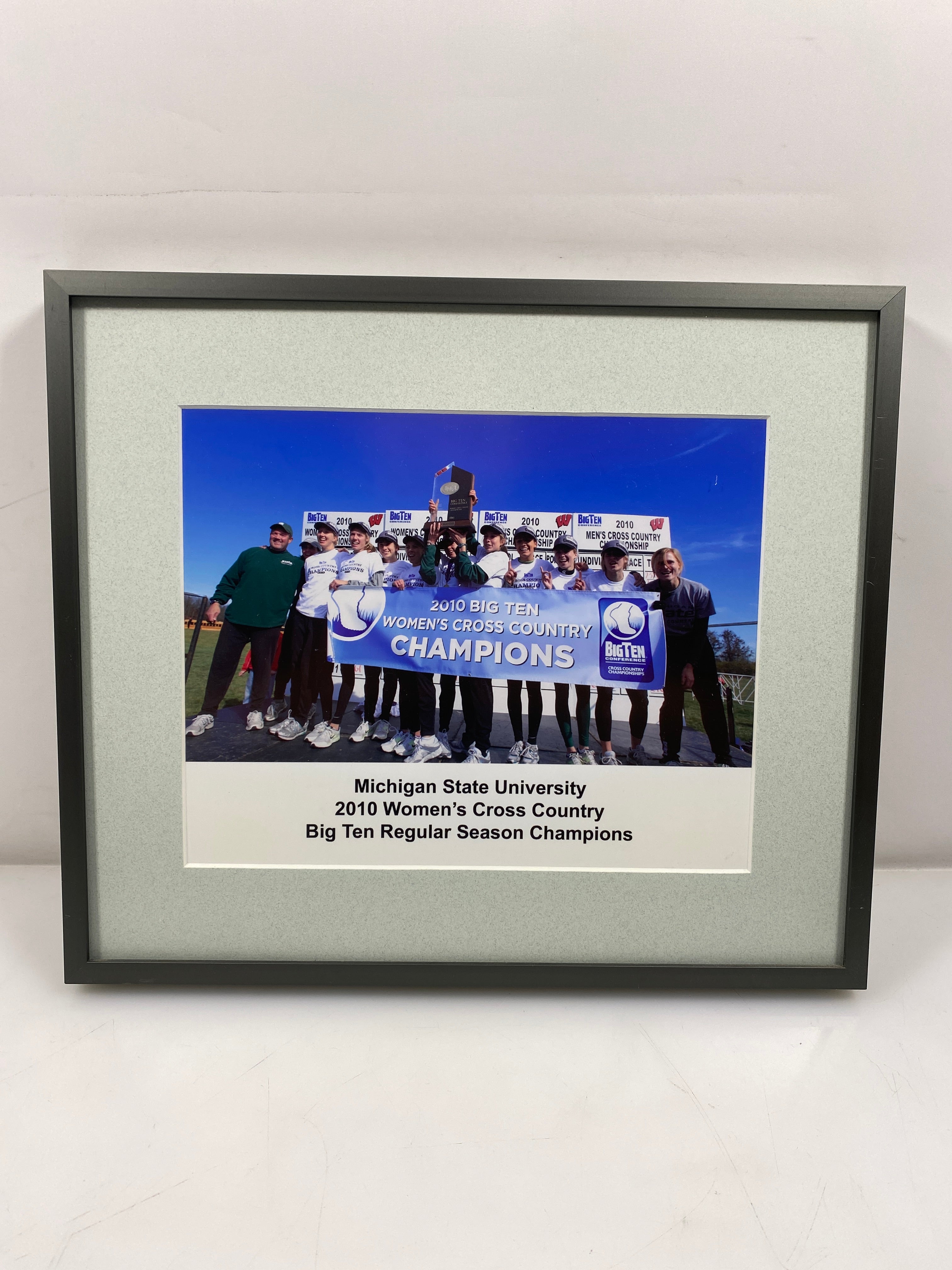 Michigan State University 2010 Women's Cross Country Big Ten Regular Season Champions