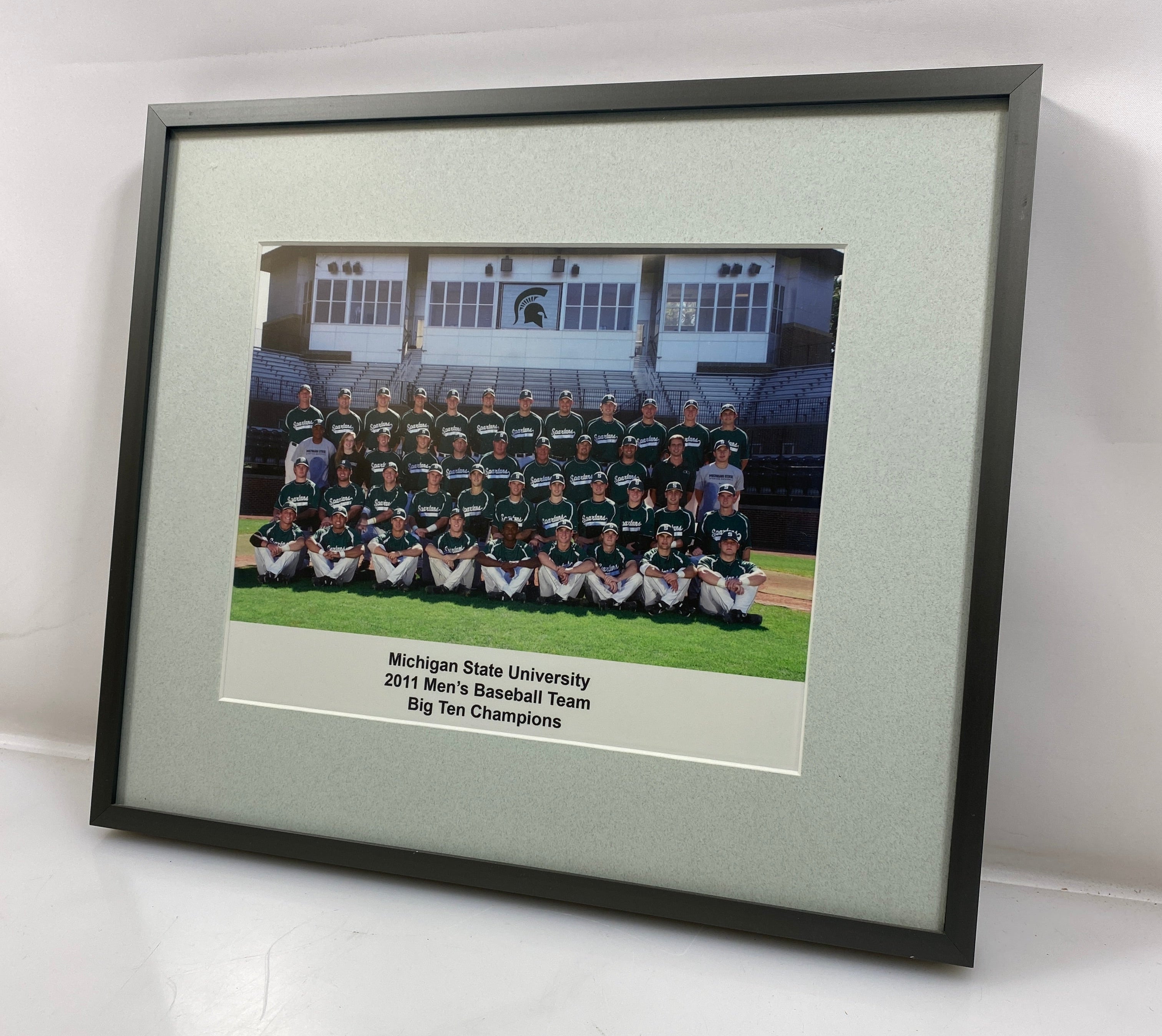 Michigan State University 2011 Men's Baseball Team--Big Ten Champions Photograph