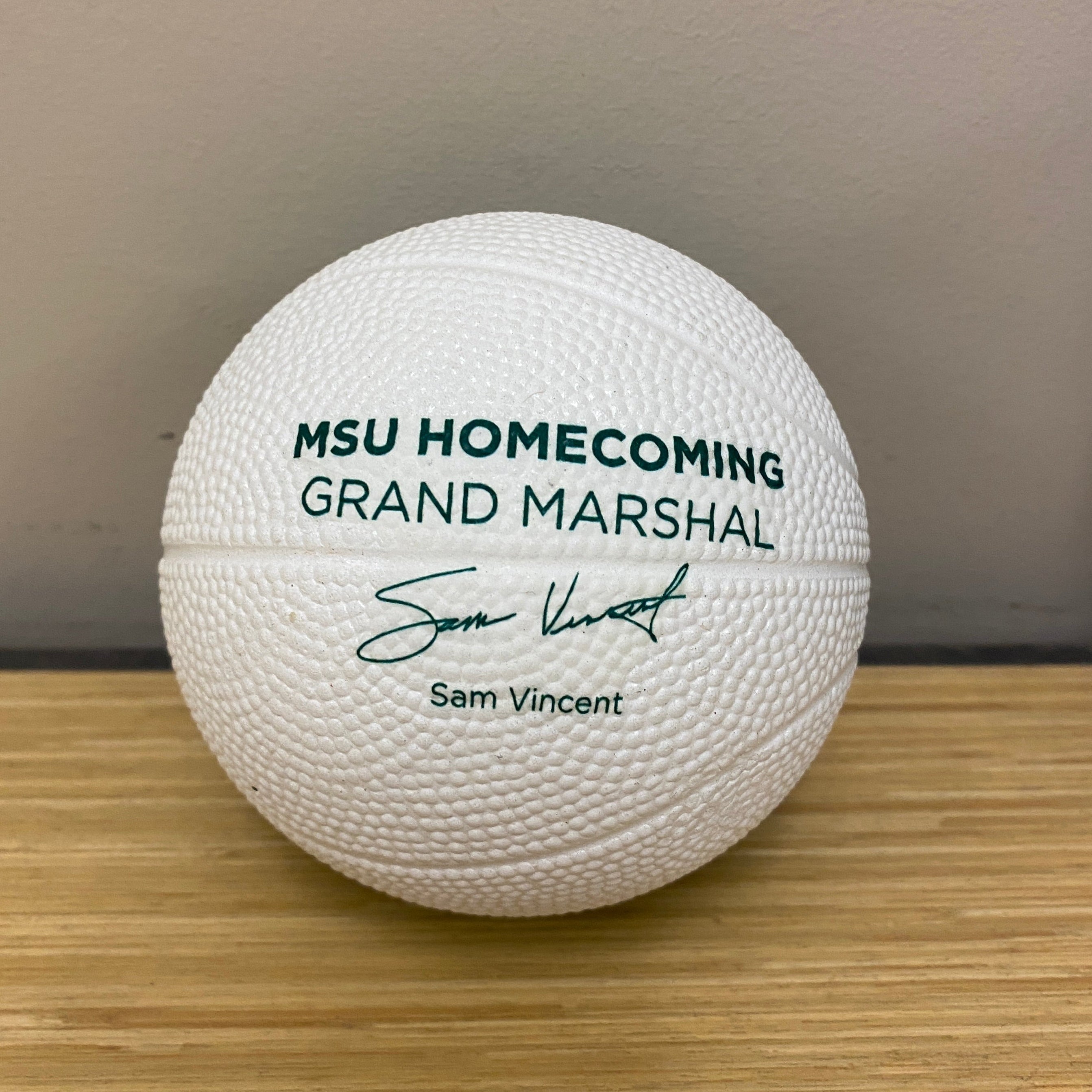 Michigan State University Foam "Alumni" Basketball Toy