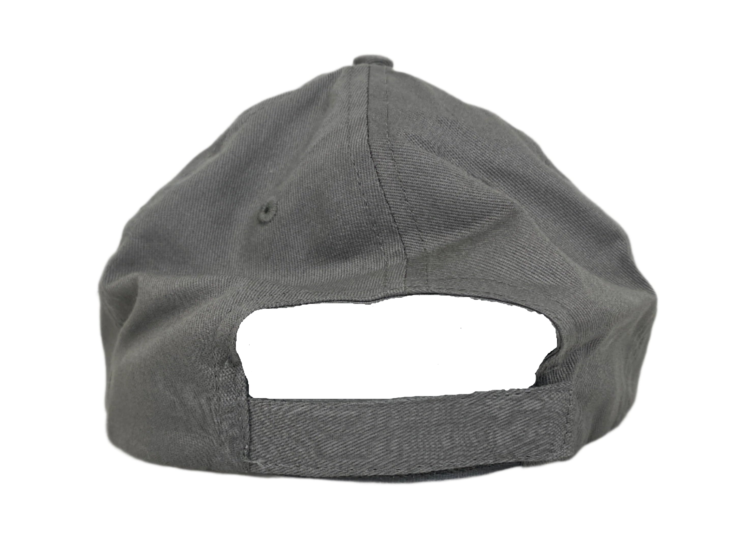 Michigan State University Gray "College of Natural Science" Hat