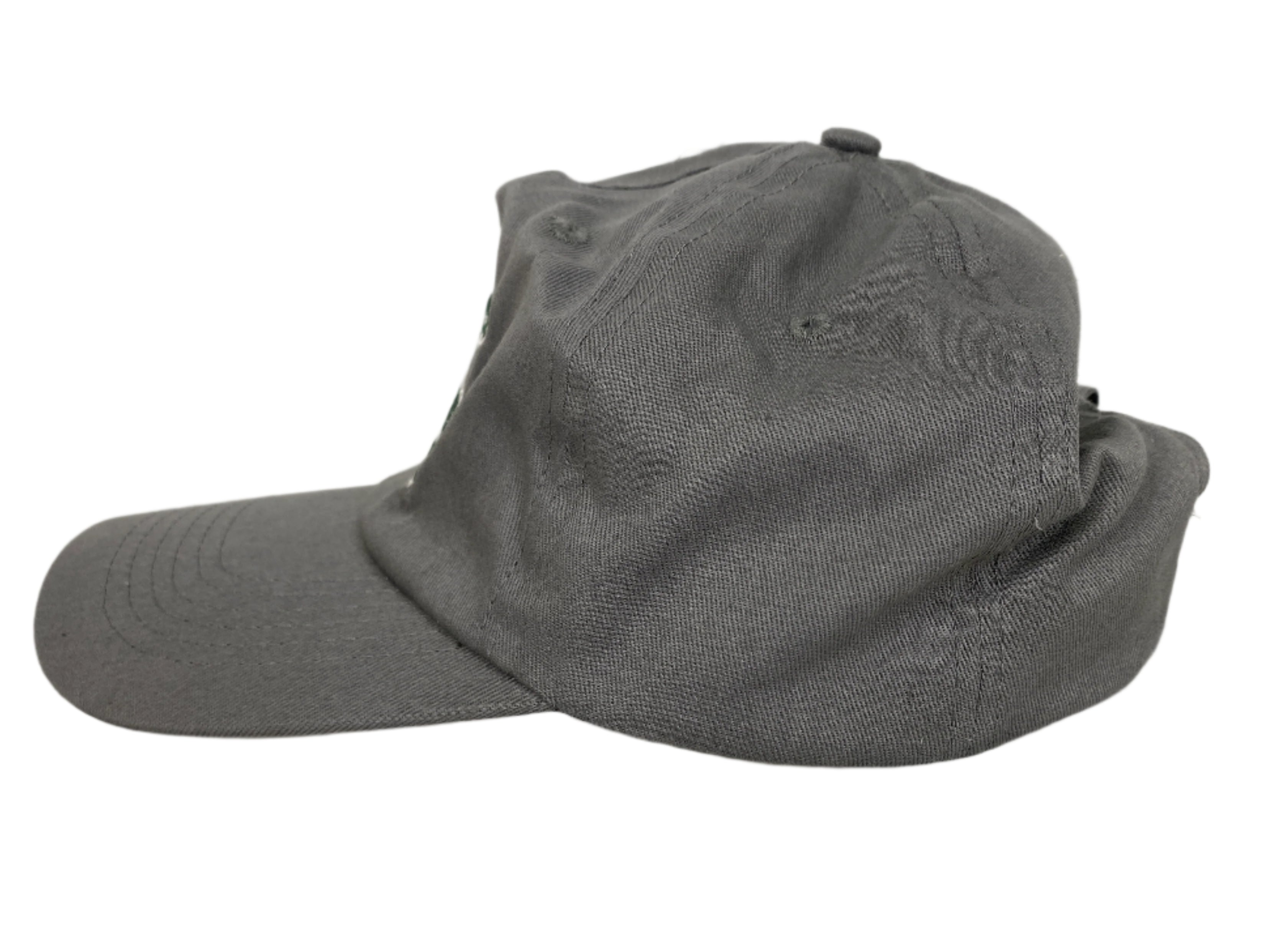 Michigan State University Gray "College of Natural Science" Hat