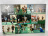 Michigan State University Women's Field Hockey Action Collage Medium Sized Plaque