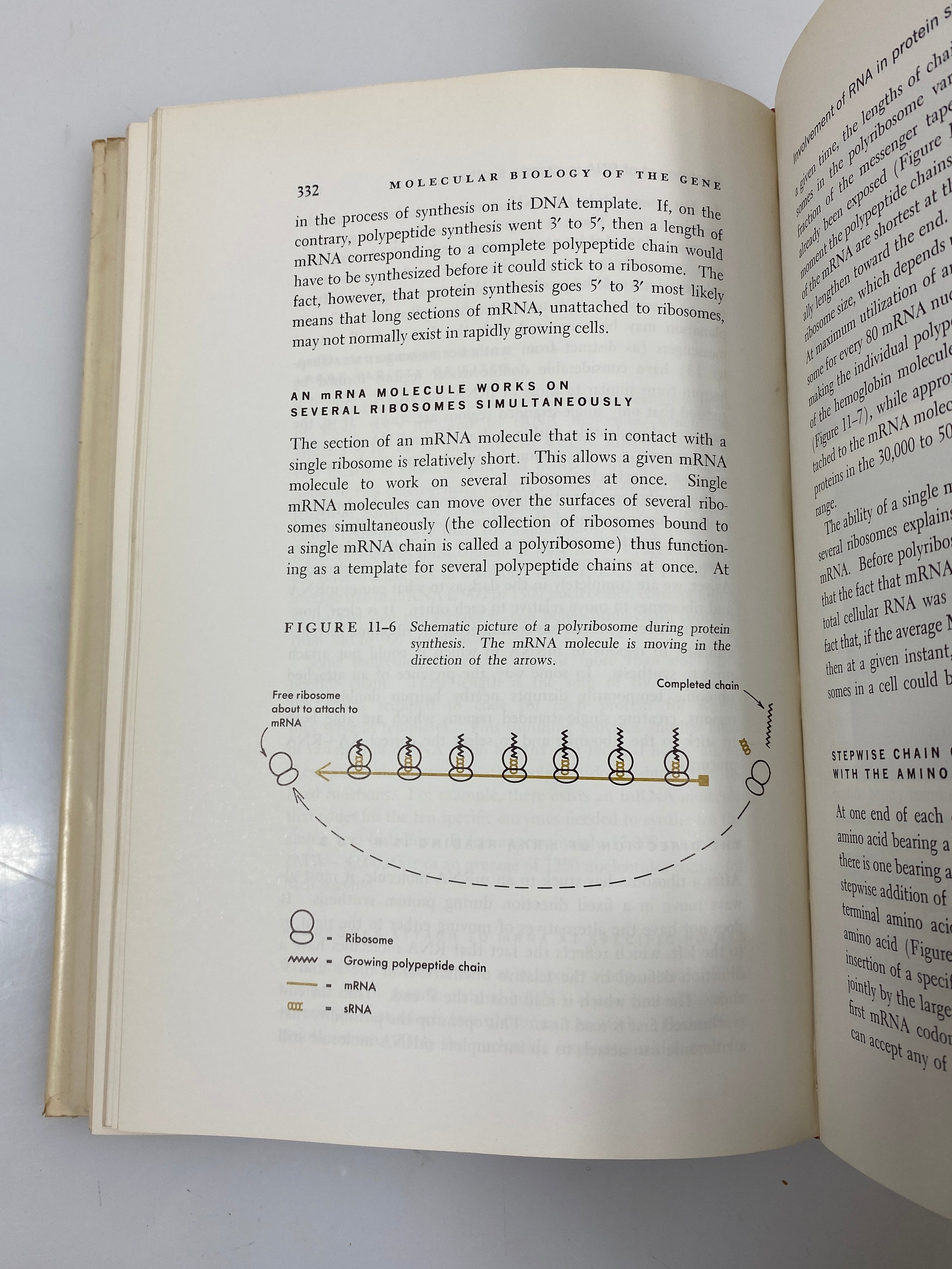 Molecular Biology of the Gene by Watson 1st Ed. 1965 HCDJ