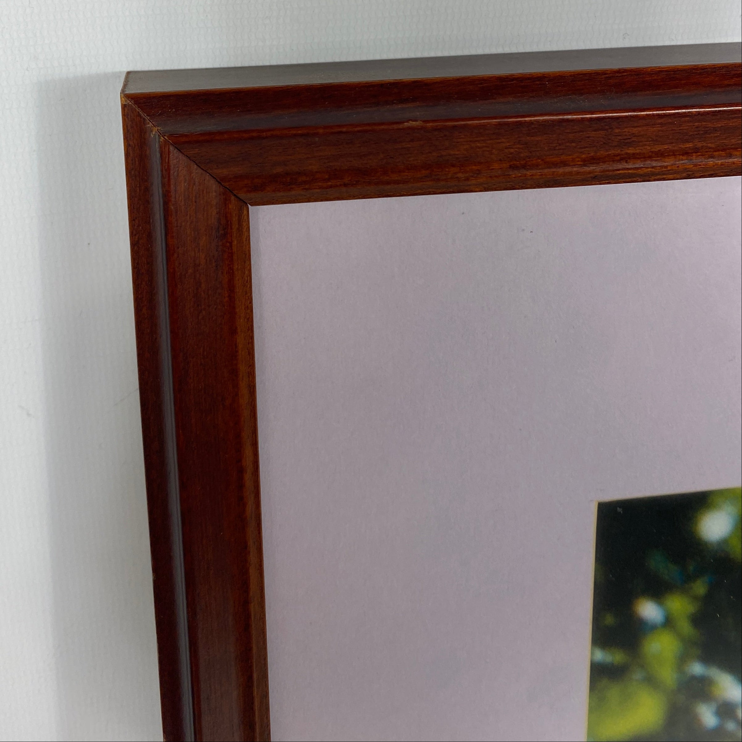 MSU Botanical Gardens Picture in Wood Frame