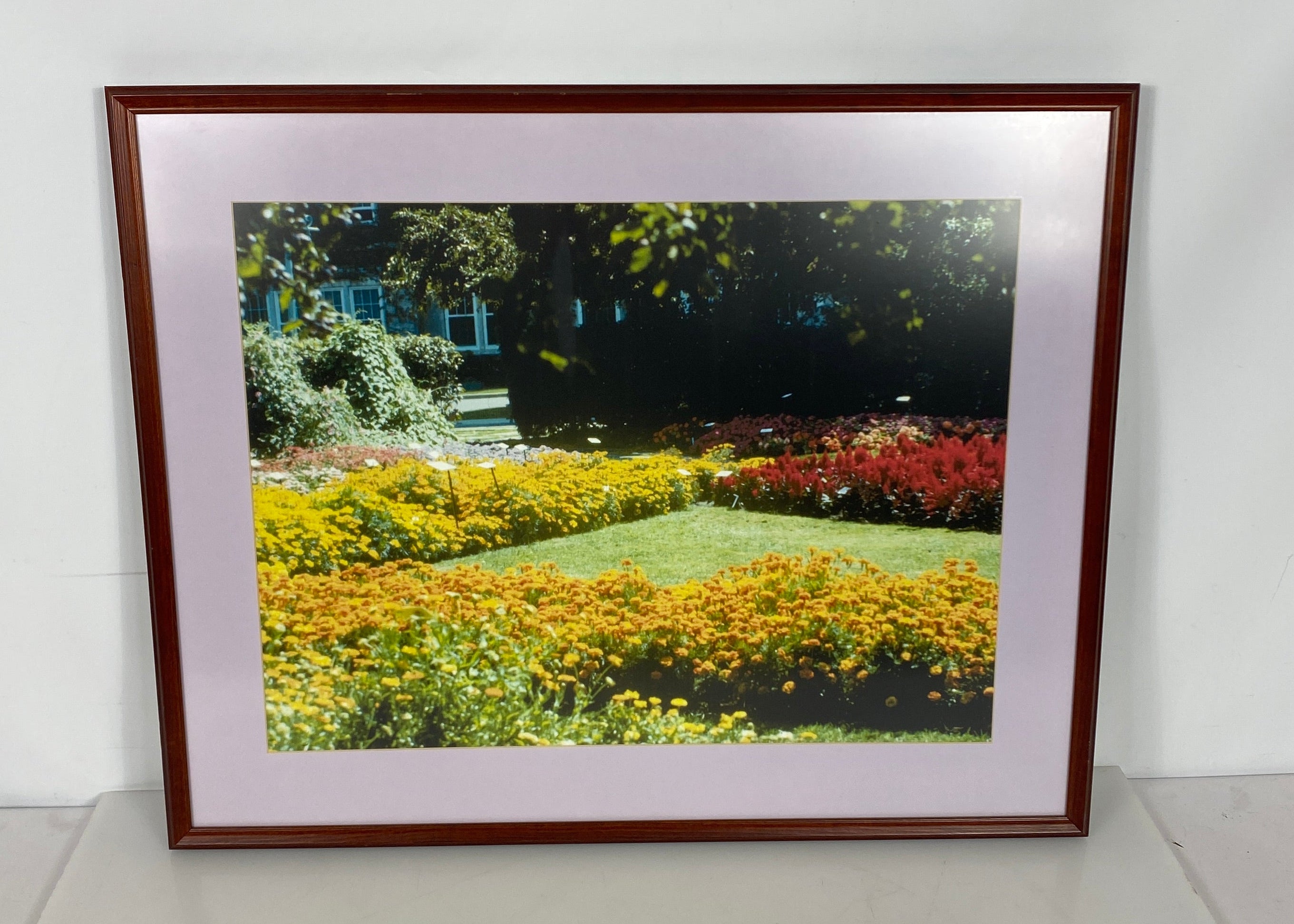 MSU Botanical Gardens Picture in Wood Frame