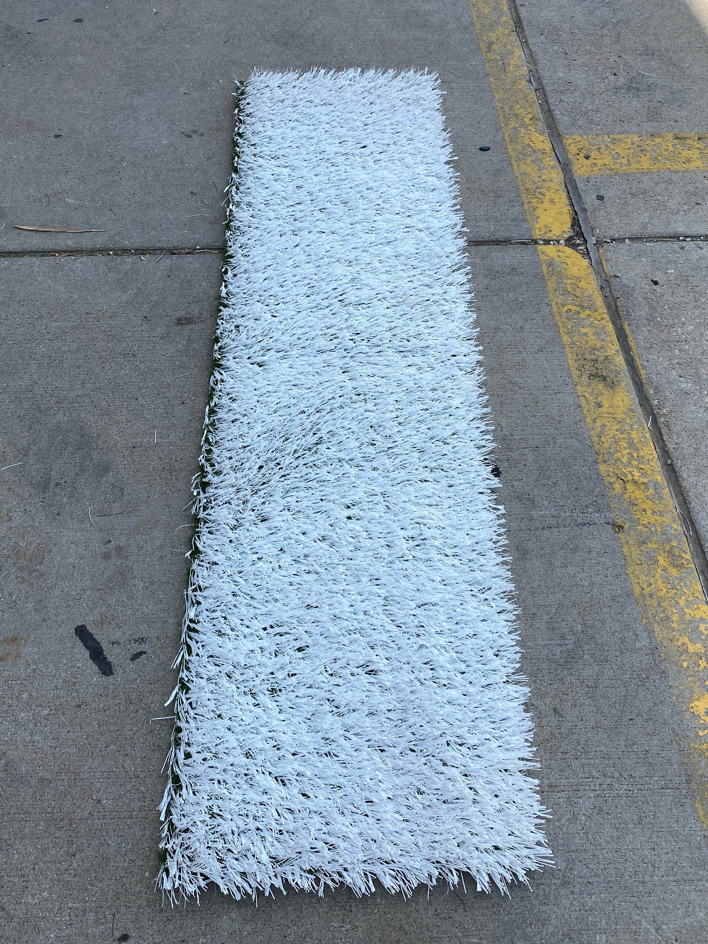 MSU Football Practice Field White Turf Cut (Large)