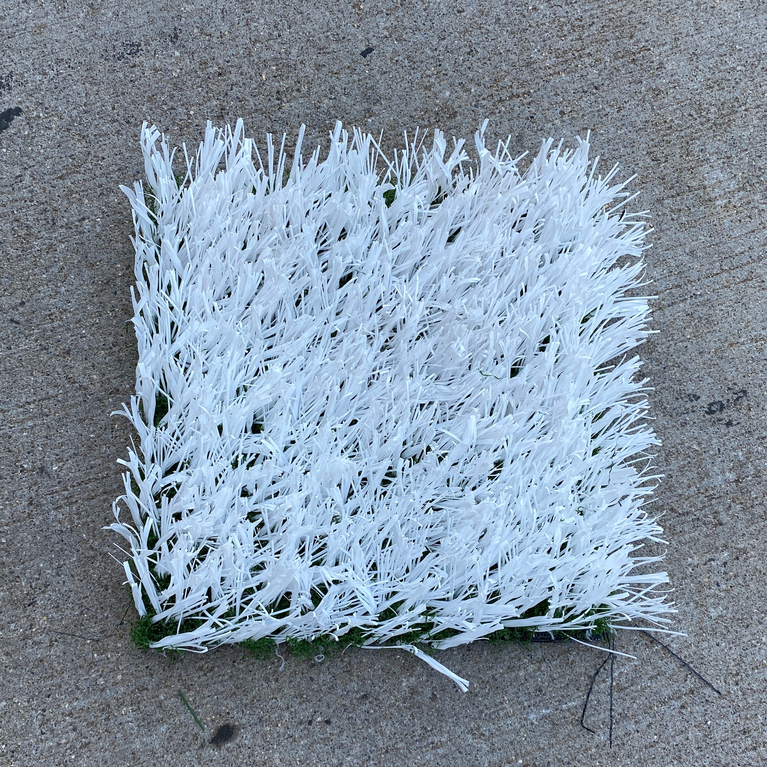 MSU Football Practice Field White Turf Cut (Small)