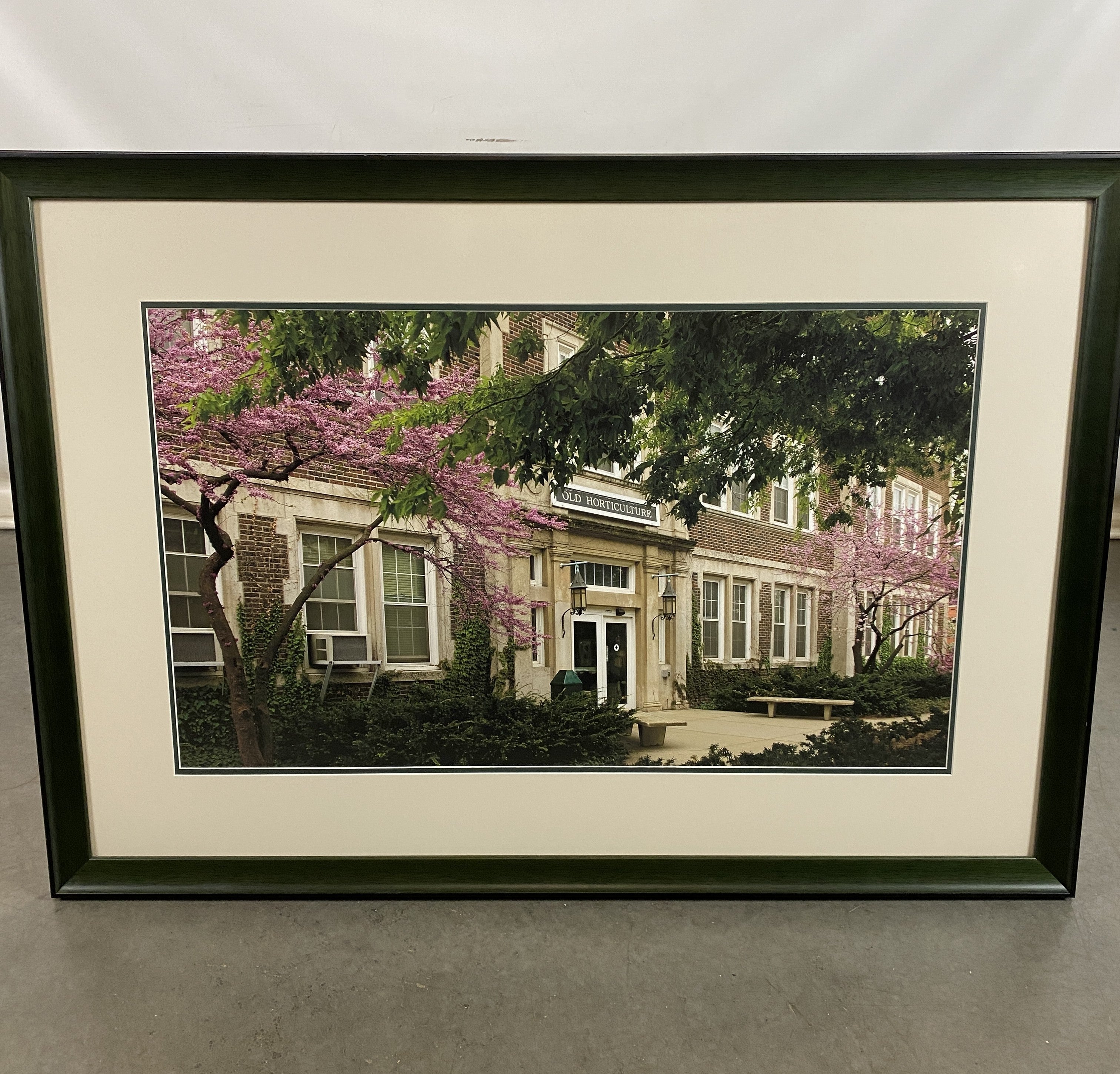 MSU Old Horticulture Building Picture in Frame