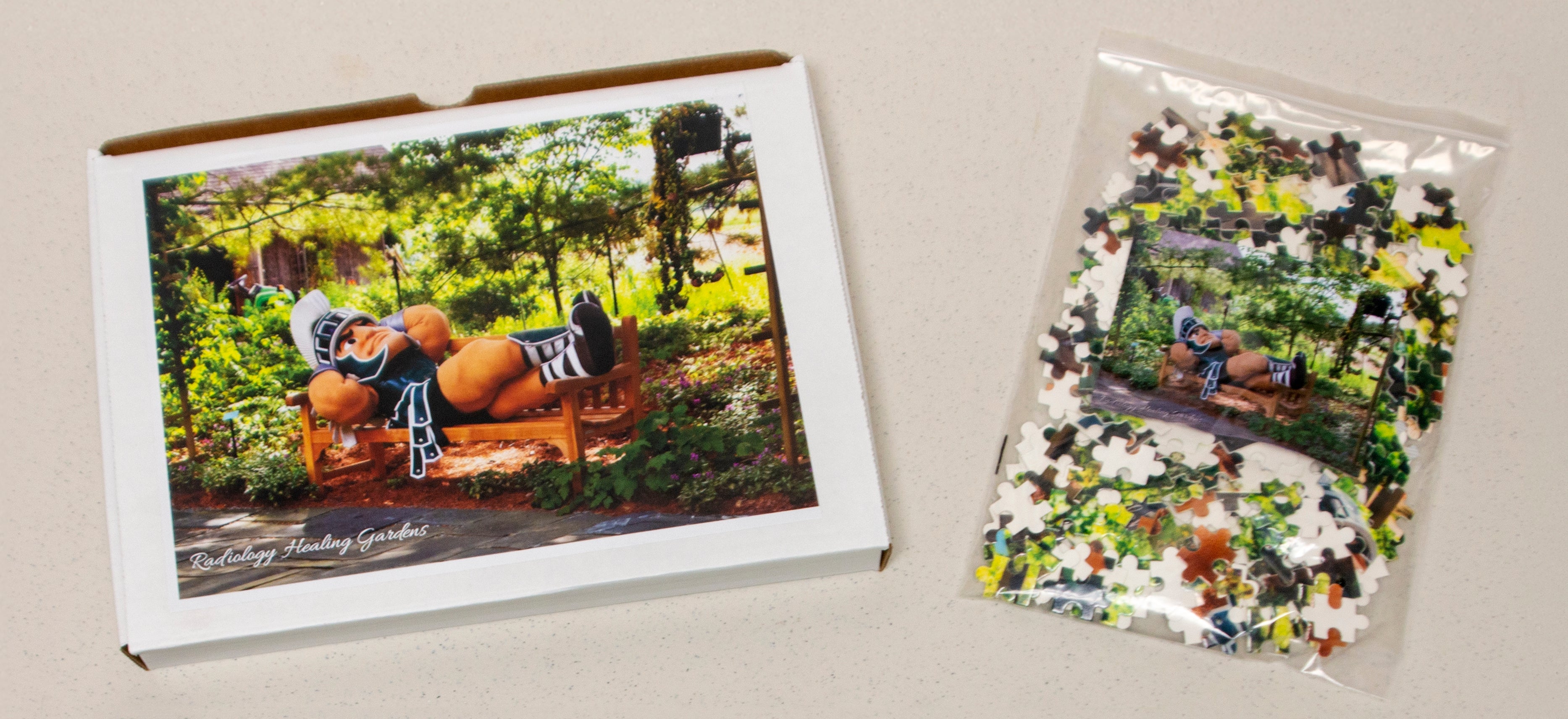 MSU Radiology Healing Gardens Sparty in the Garden Puzzle
