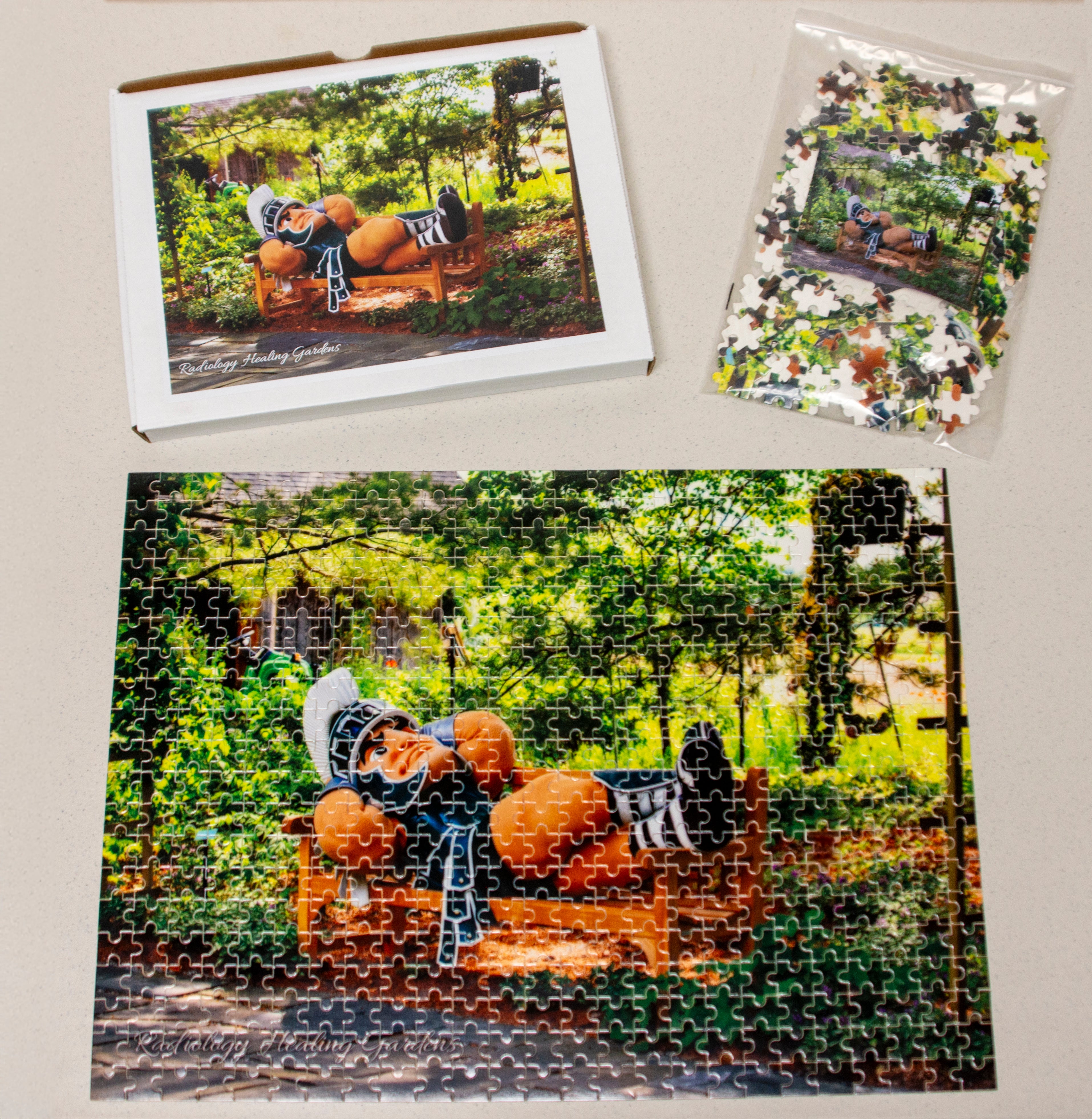 MSU Radiology Healing Gardens Sparty in the Garden Puzzle