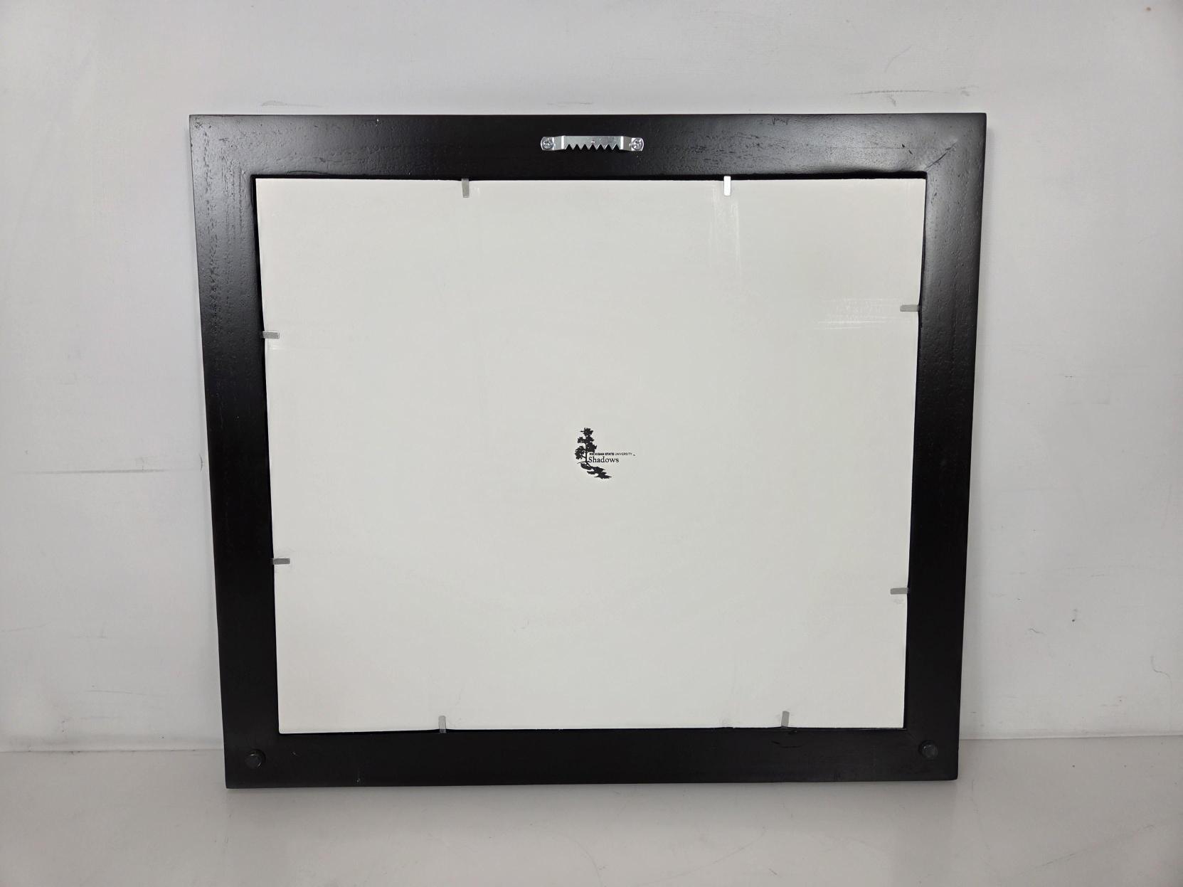 MSU Shadows Black Bachelor/Master Diploma Frame