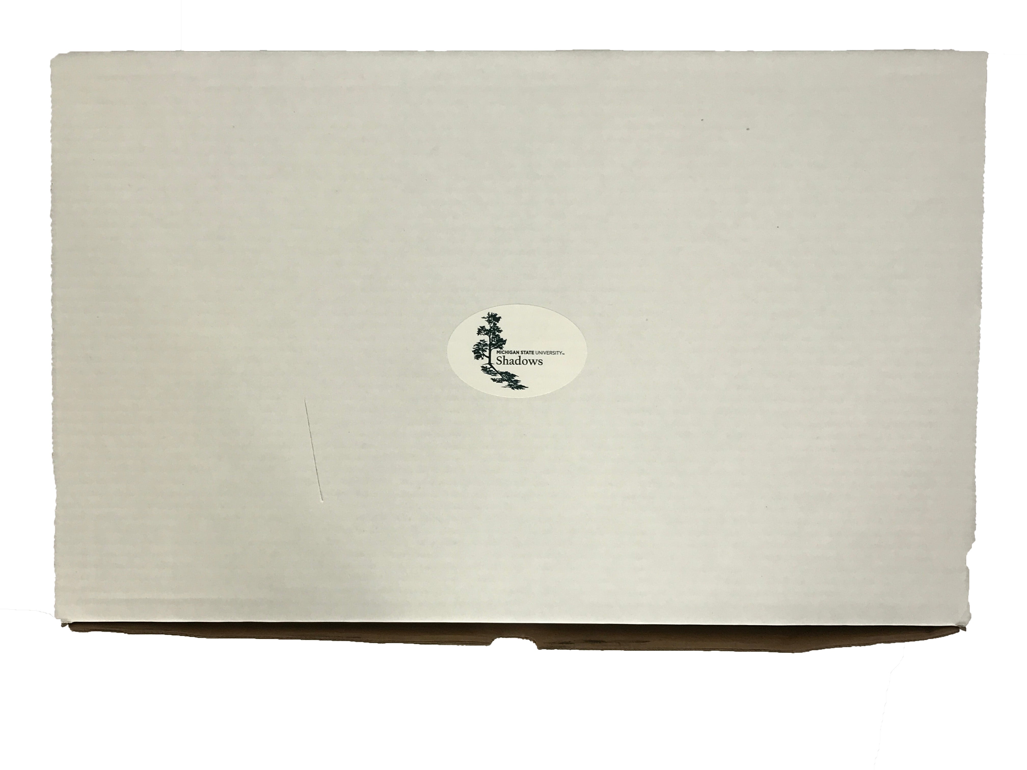MSU Shadows Charcuterie Board Spartan Head Style 2