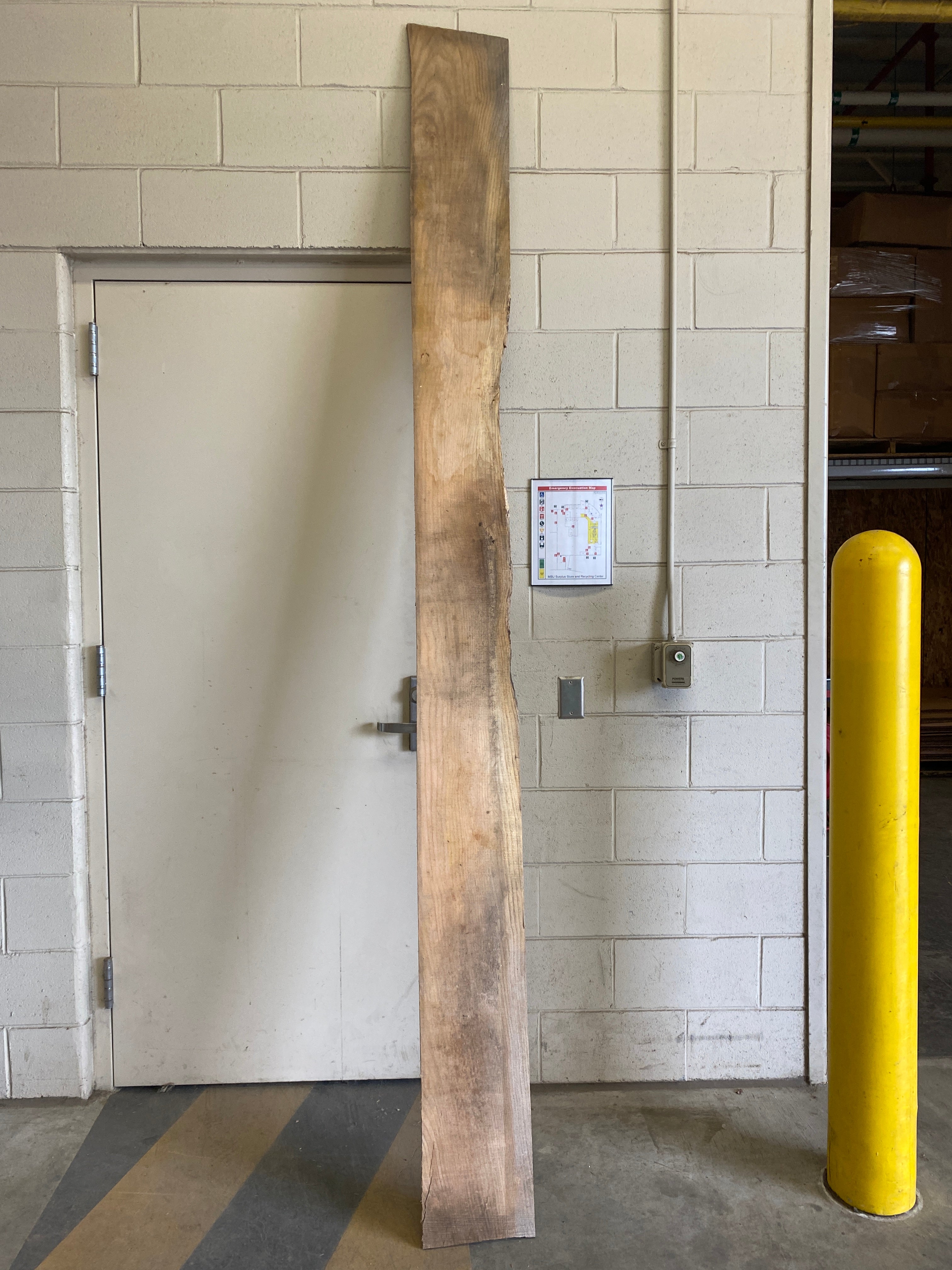 MSU Shadows Flat Board Unknown Species Slab Wood #14