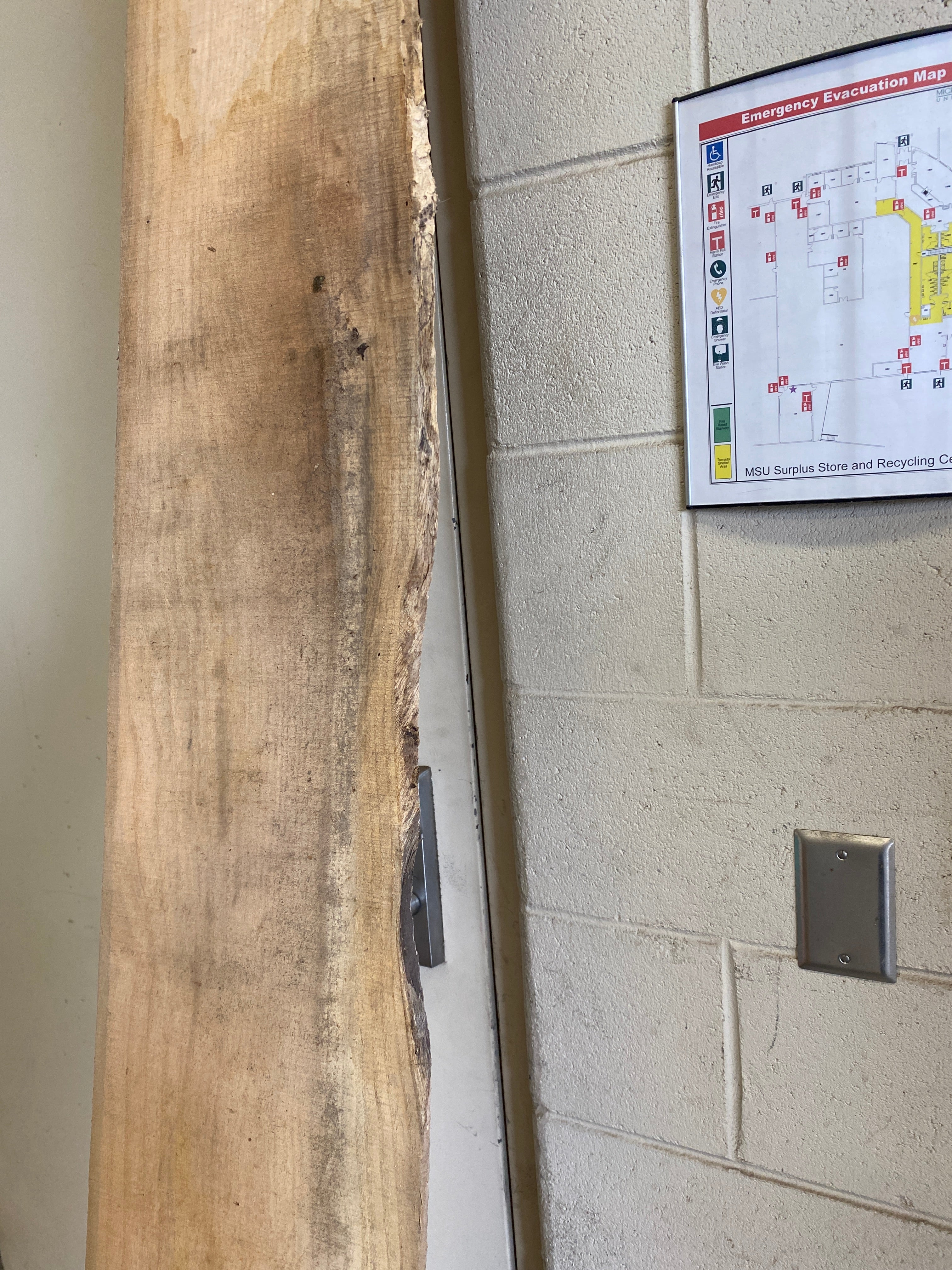 MSU Shadows Flat Board Unknown Species Slab Wood #14