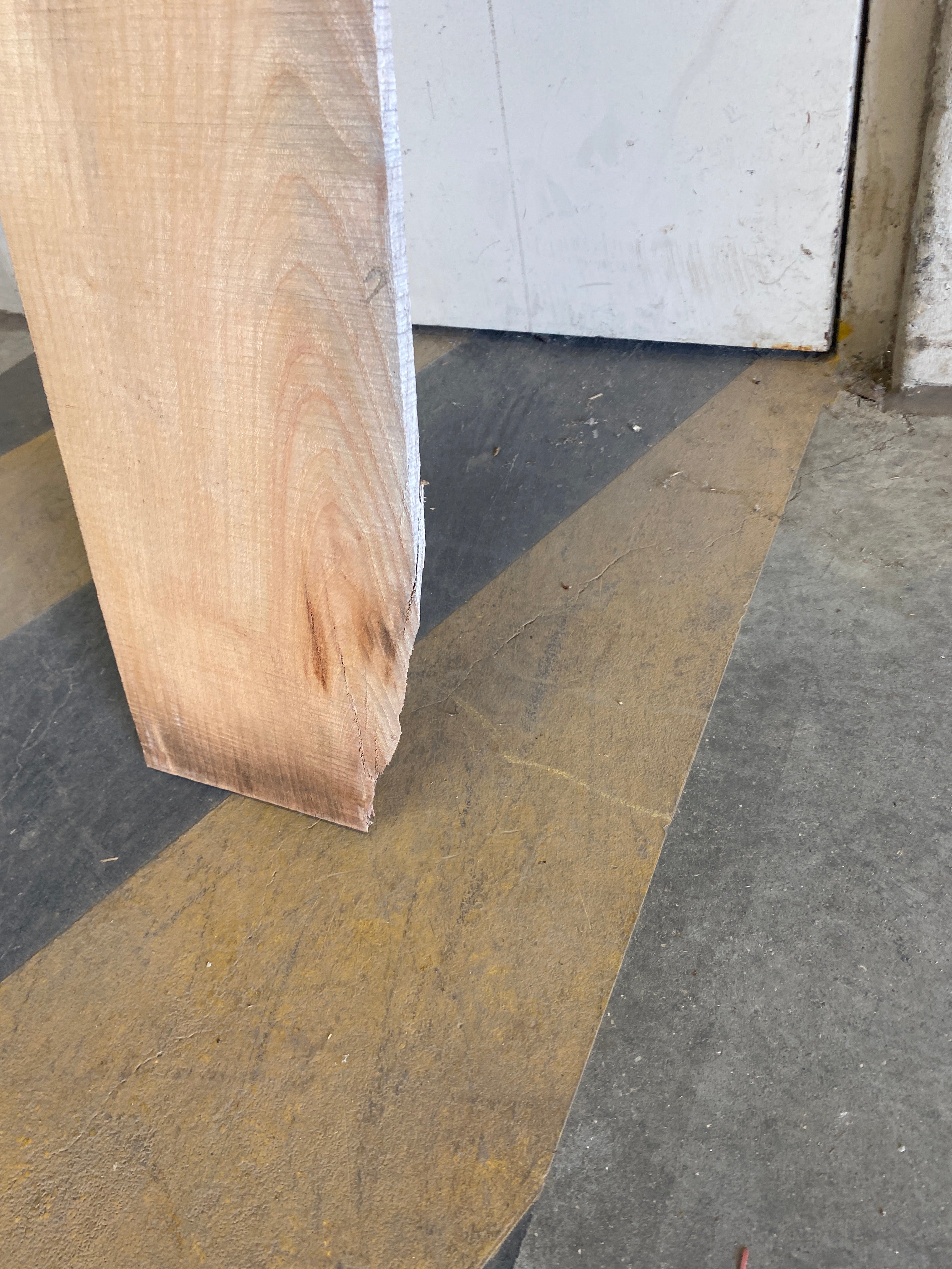 MSU Shadows Flat Board Unknown Species Slab Wood #15