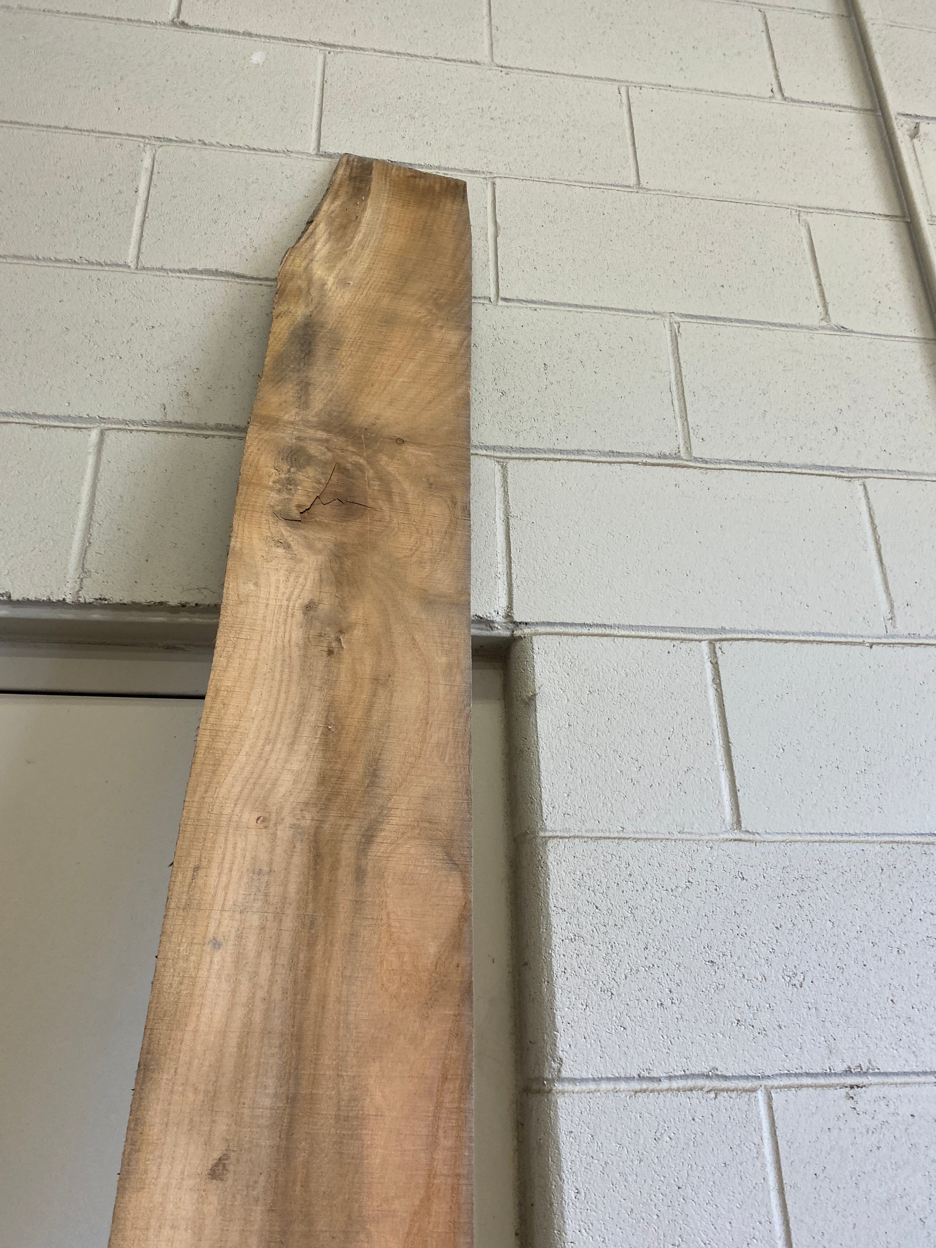 MSU Shadows Flat Board Unknown Species Slab Wood #15