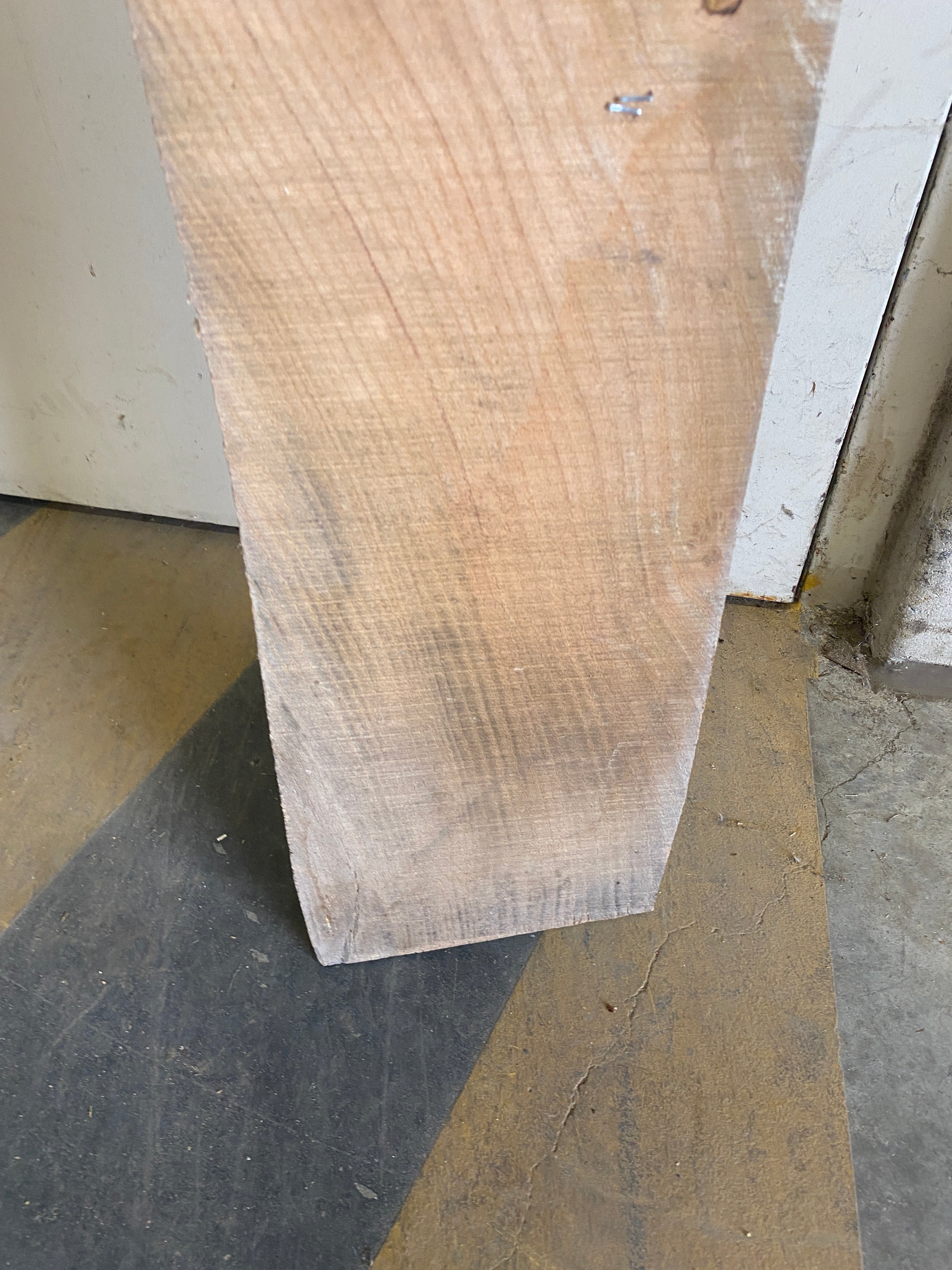 MSU Shadows Flat Board Unknown Species Slab Wood #16