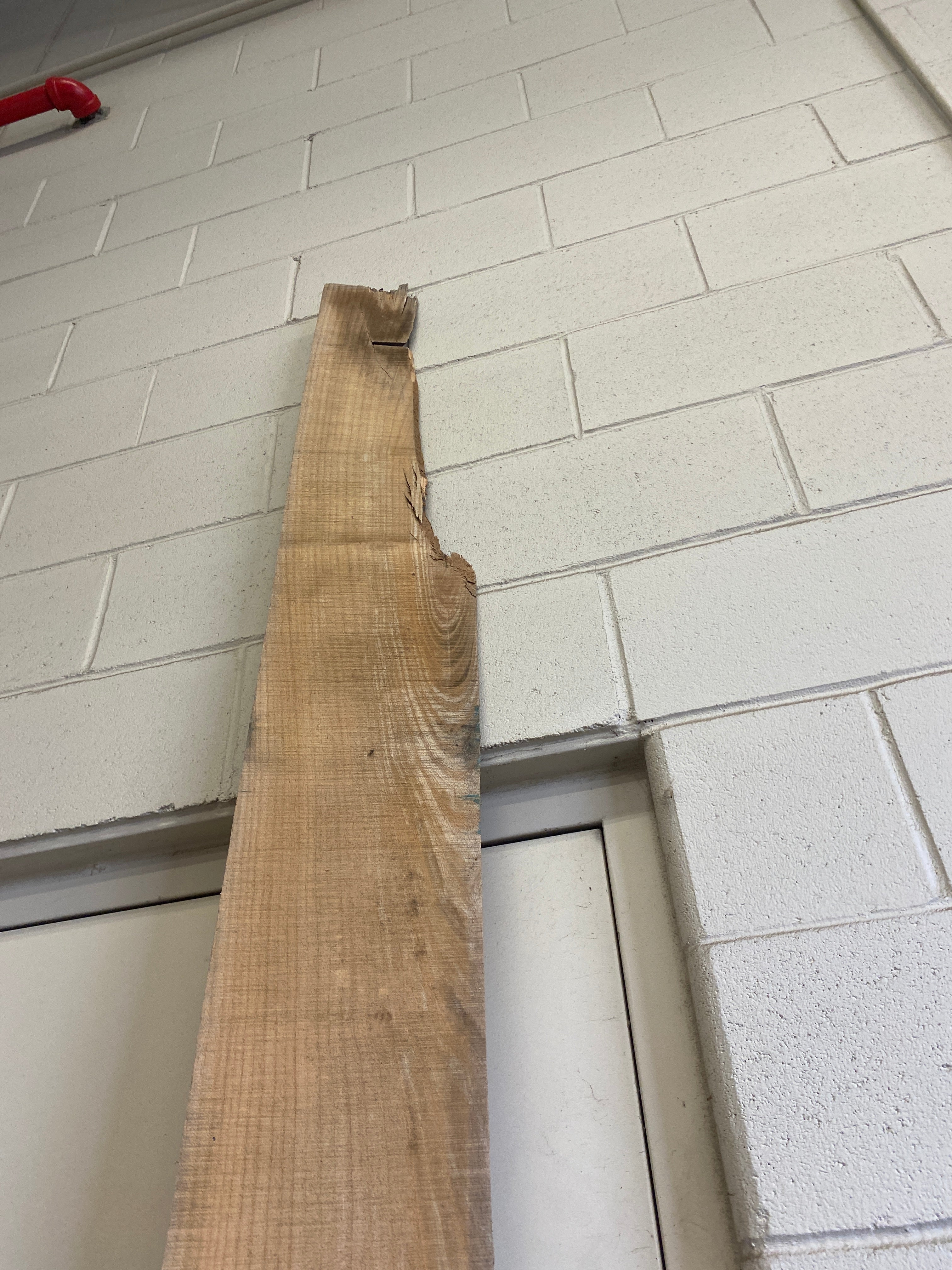 MSU Shadows Flat Board Unknown Species Slab Wood #16