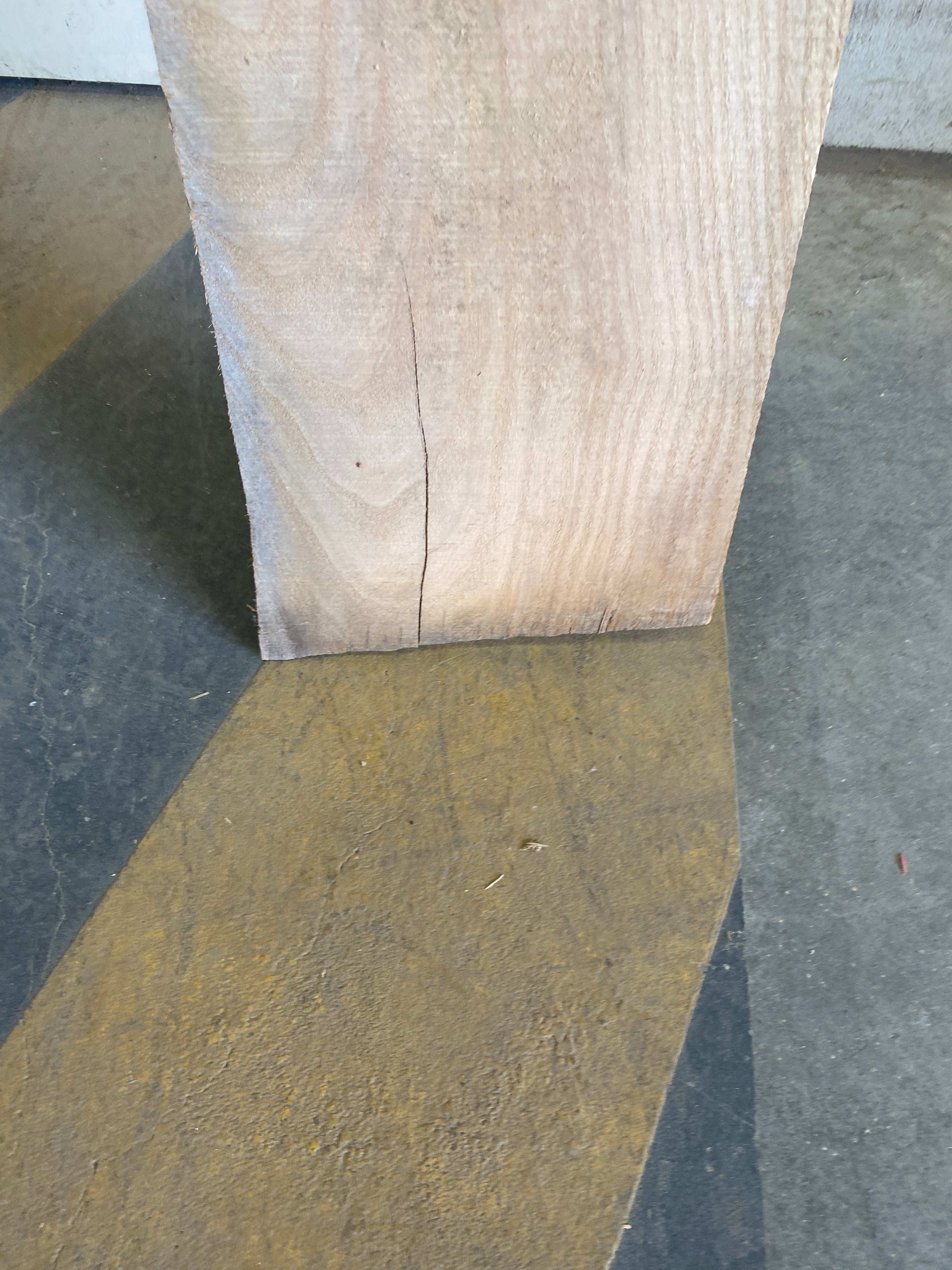 MSU Shadows Flat Board Unknown Species Slab Wood #17