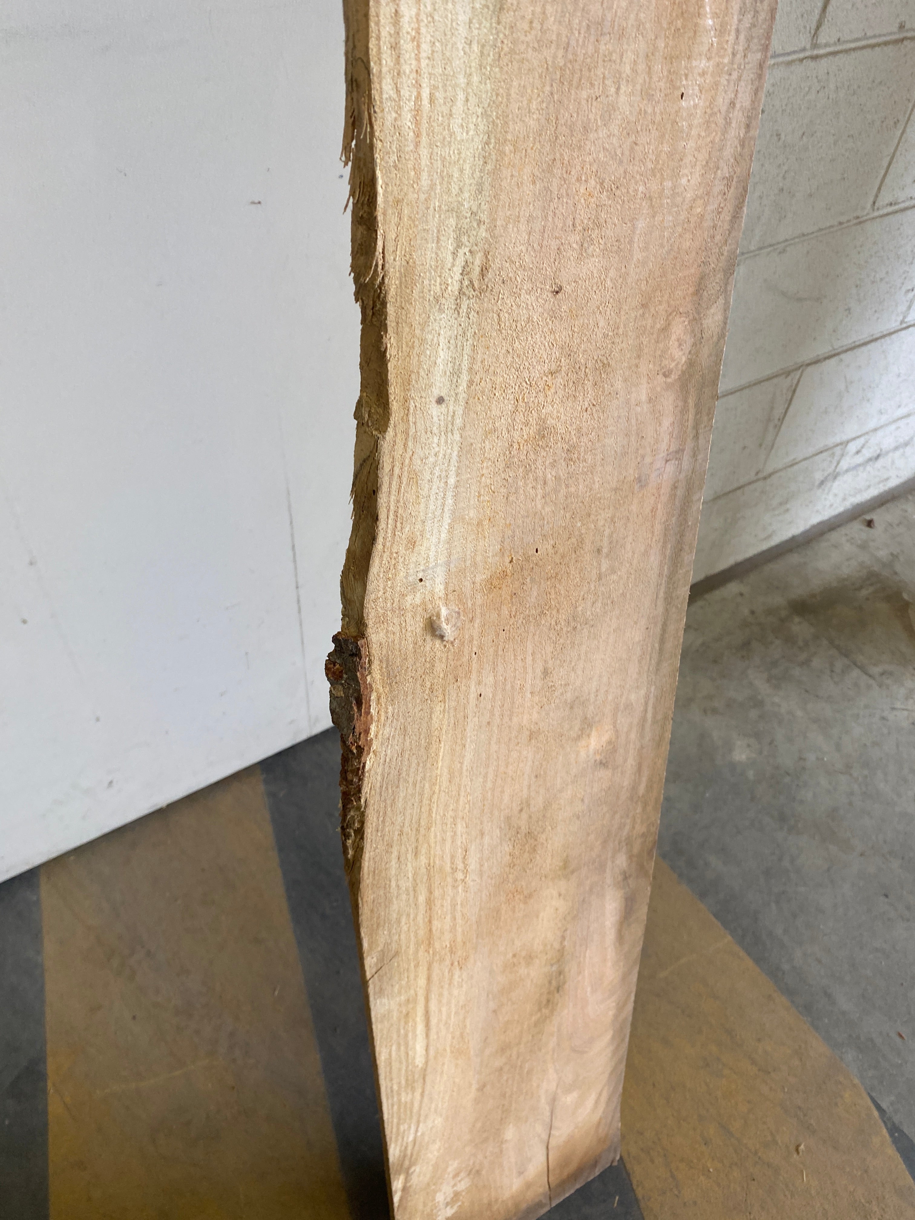 MSU Shadows Flat Board Unknown Species Slab Wood #17