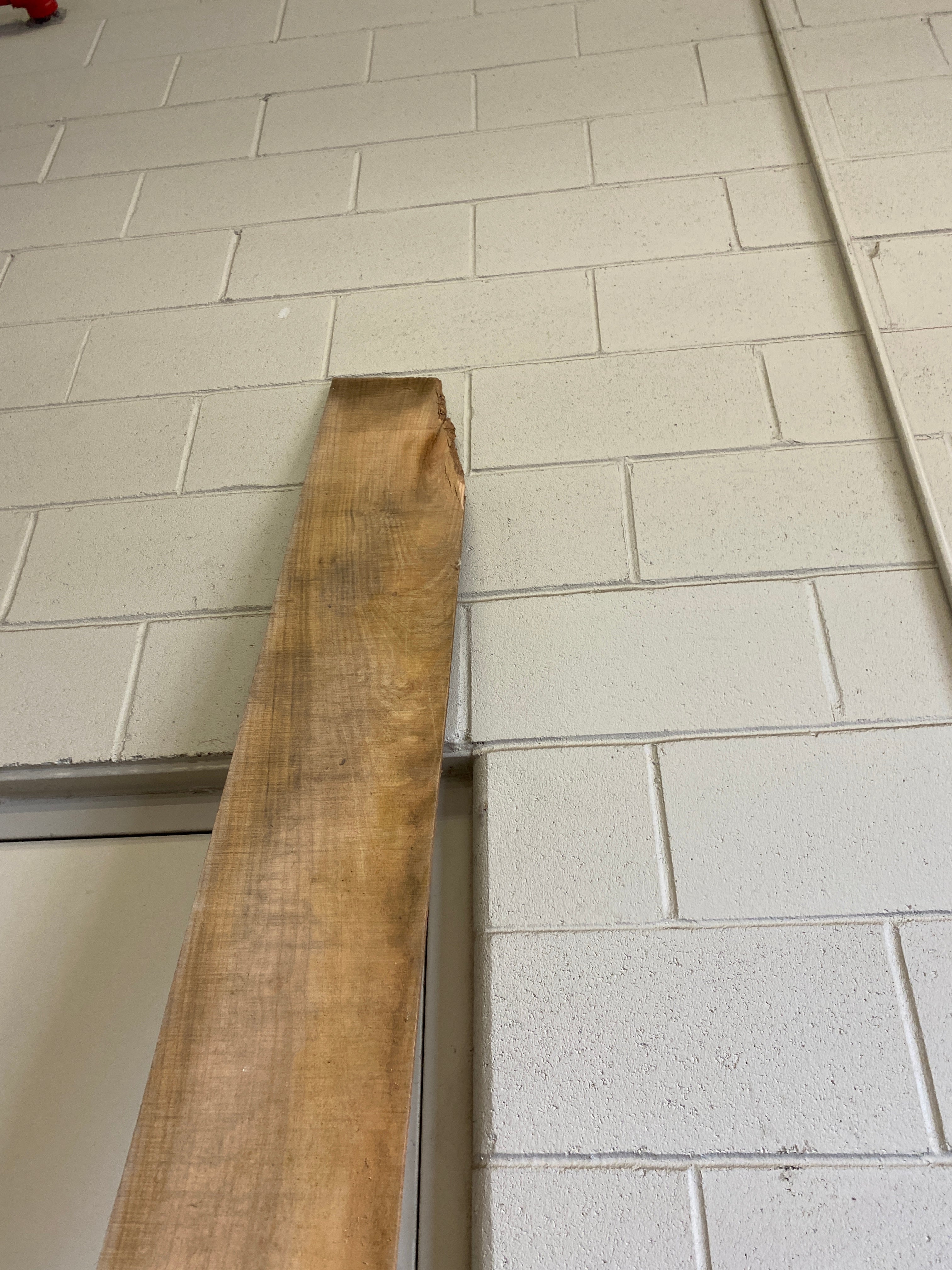 MSU Shadows Flat Board Unknown Species Slab Wood #18