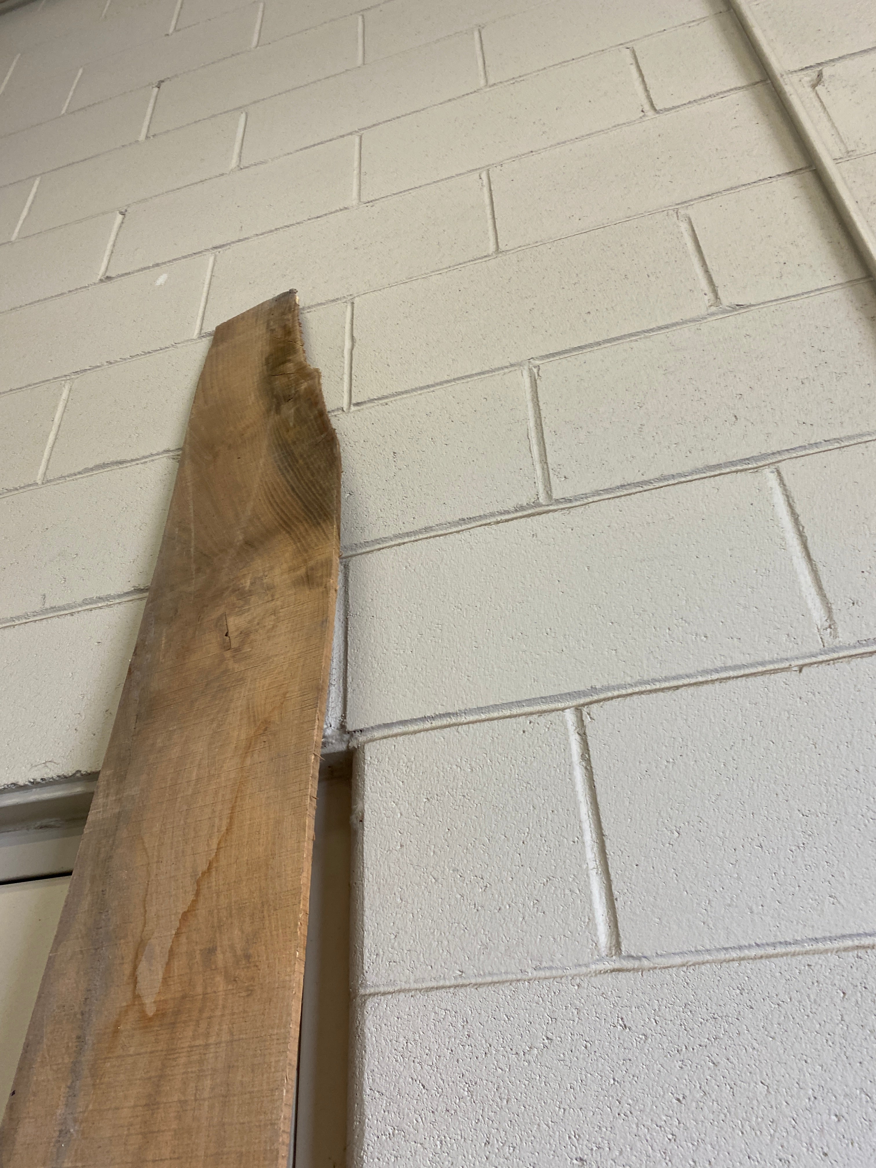 MSU Shadows Flat Board Unknown Species Slab Wood #20