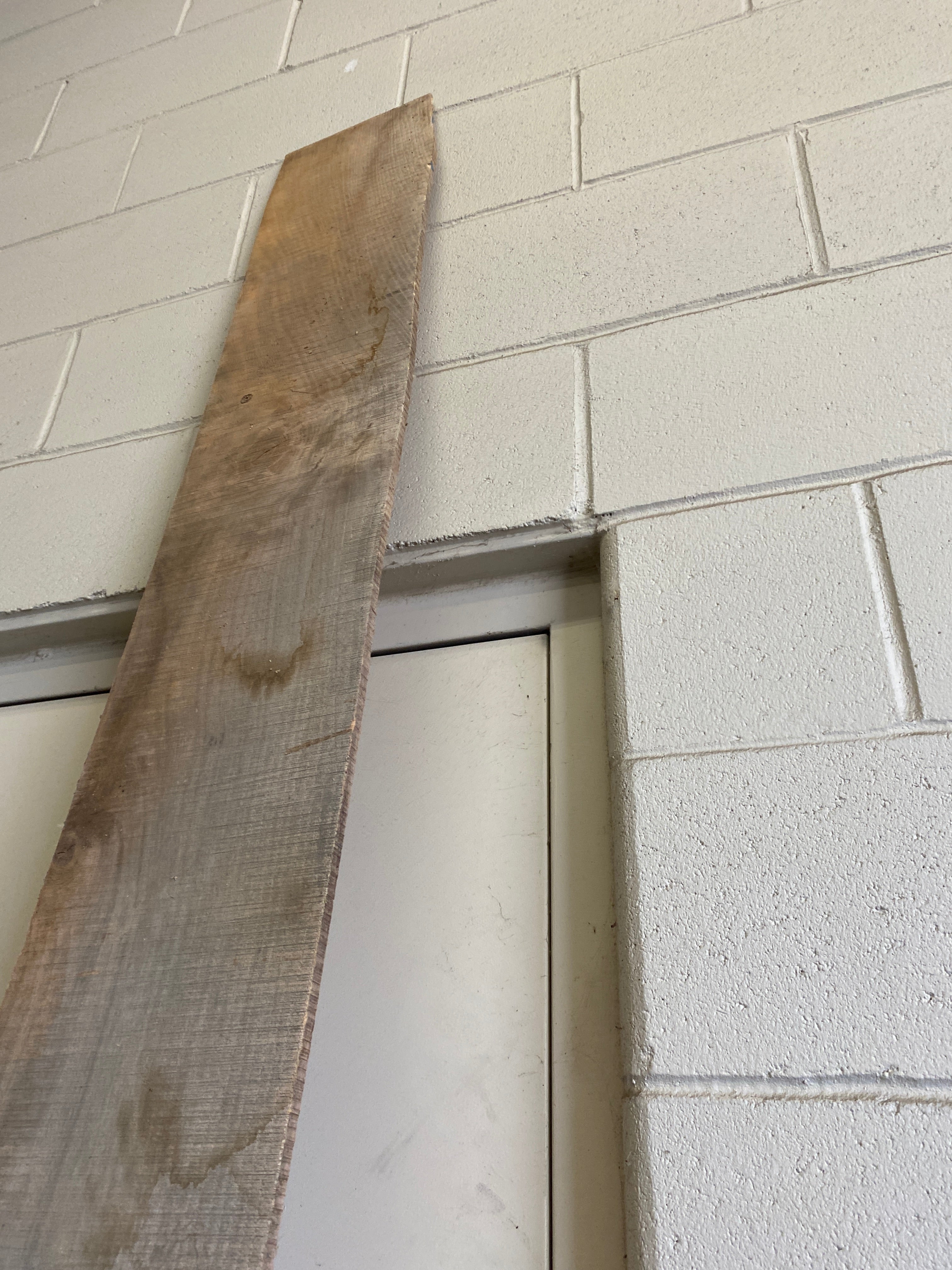 MSU Shadows Flat Board Unknown Species Slab Wood #21