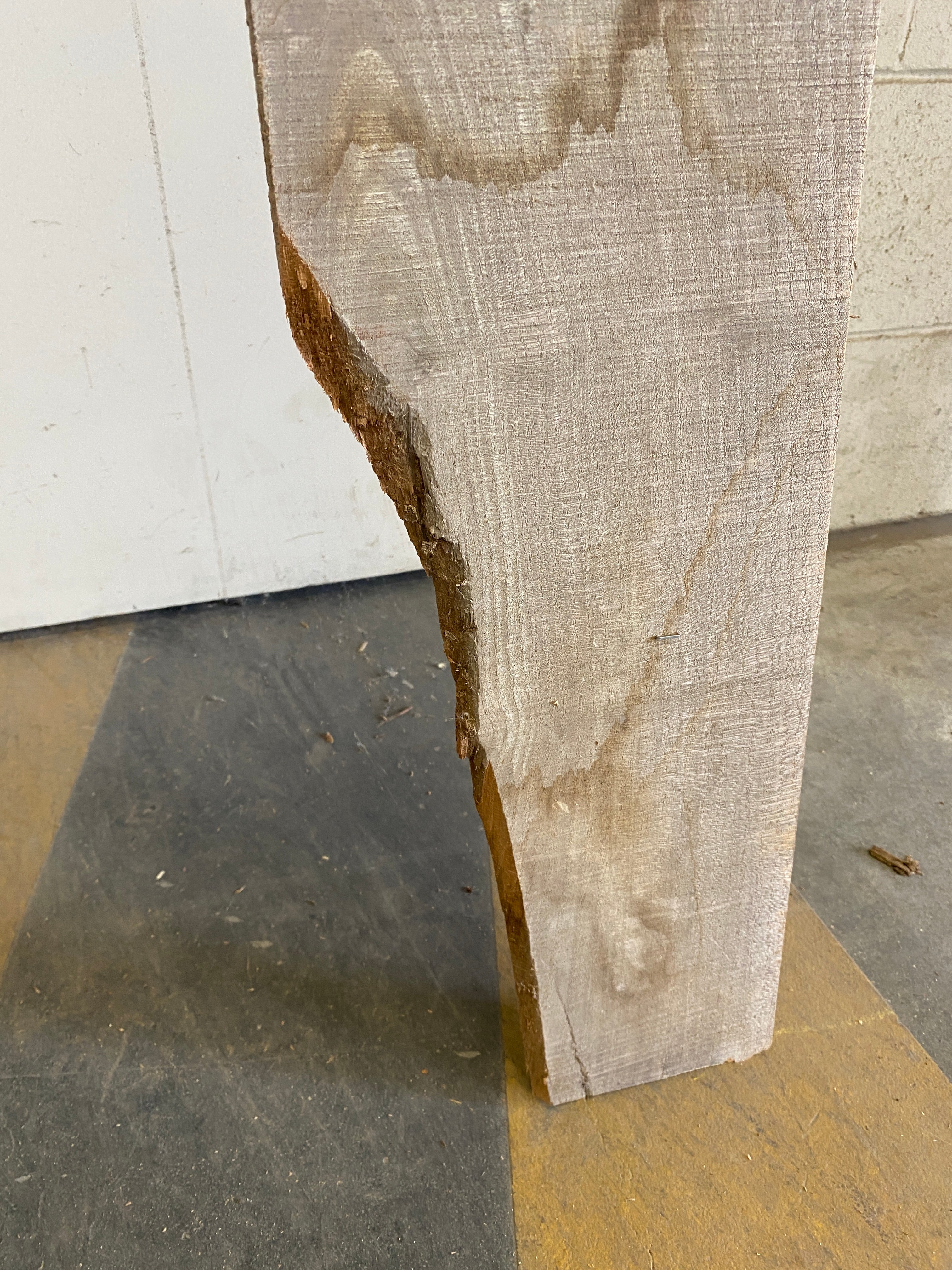 MSU Shadows Flat Board Unknown Species Slab Wood #21