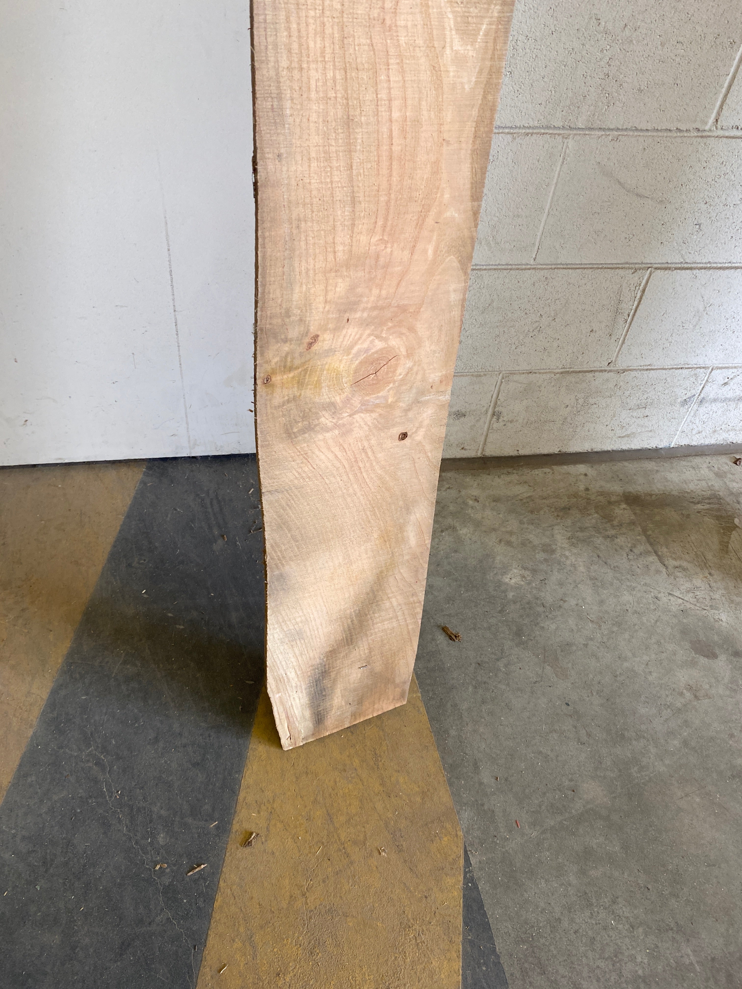 MSU Shadows Flat Board Unknown Species Slab Wood #22