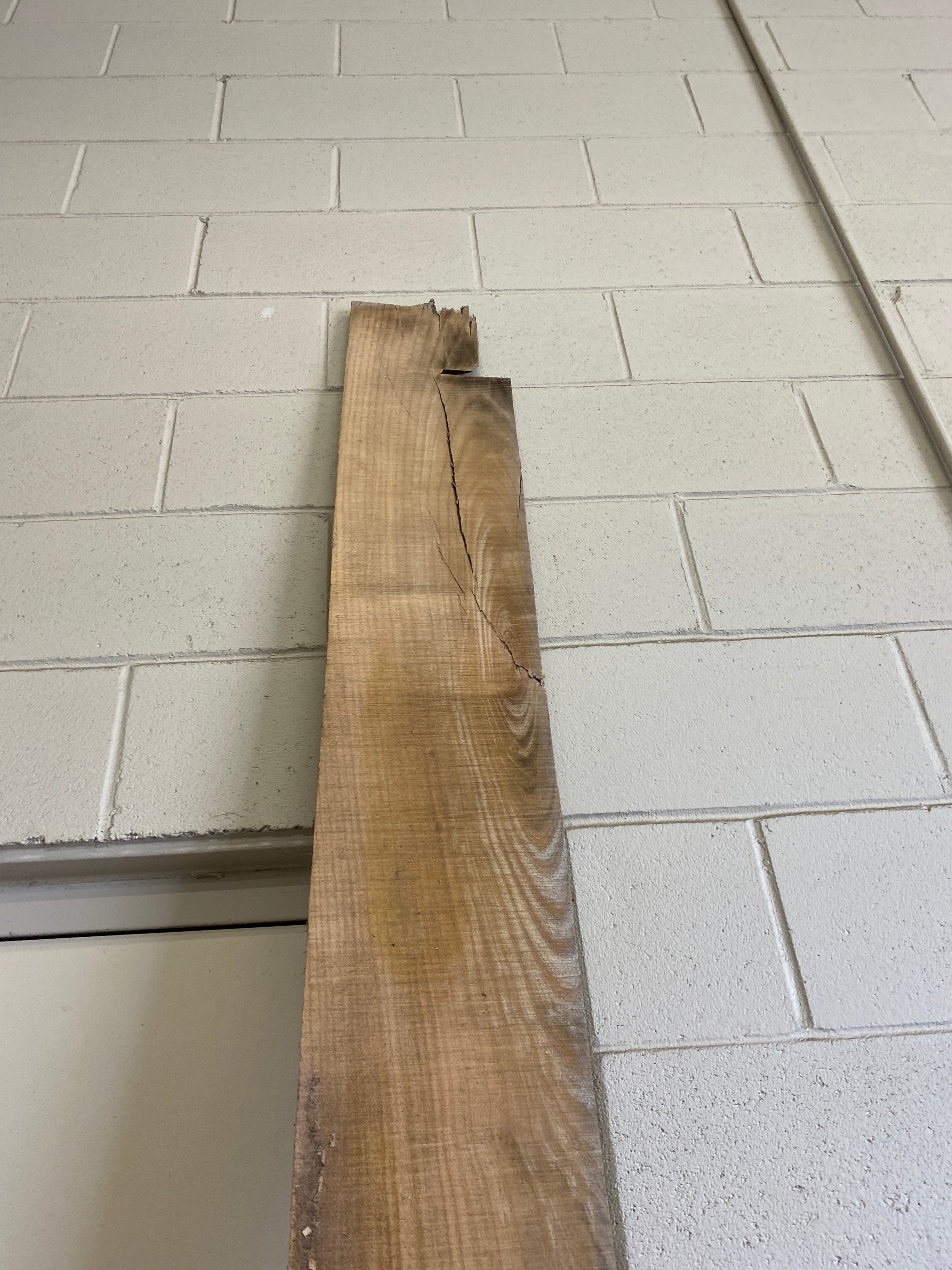 MSU Shadows Flat Board Unknown Species Slab Wood #25