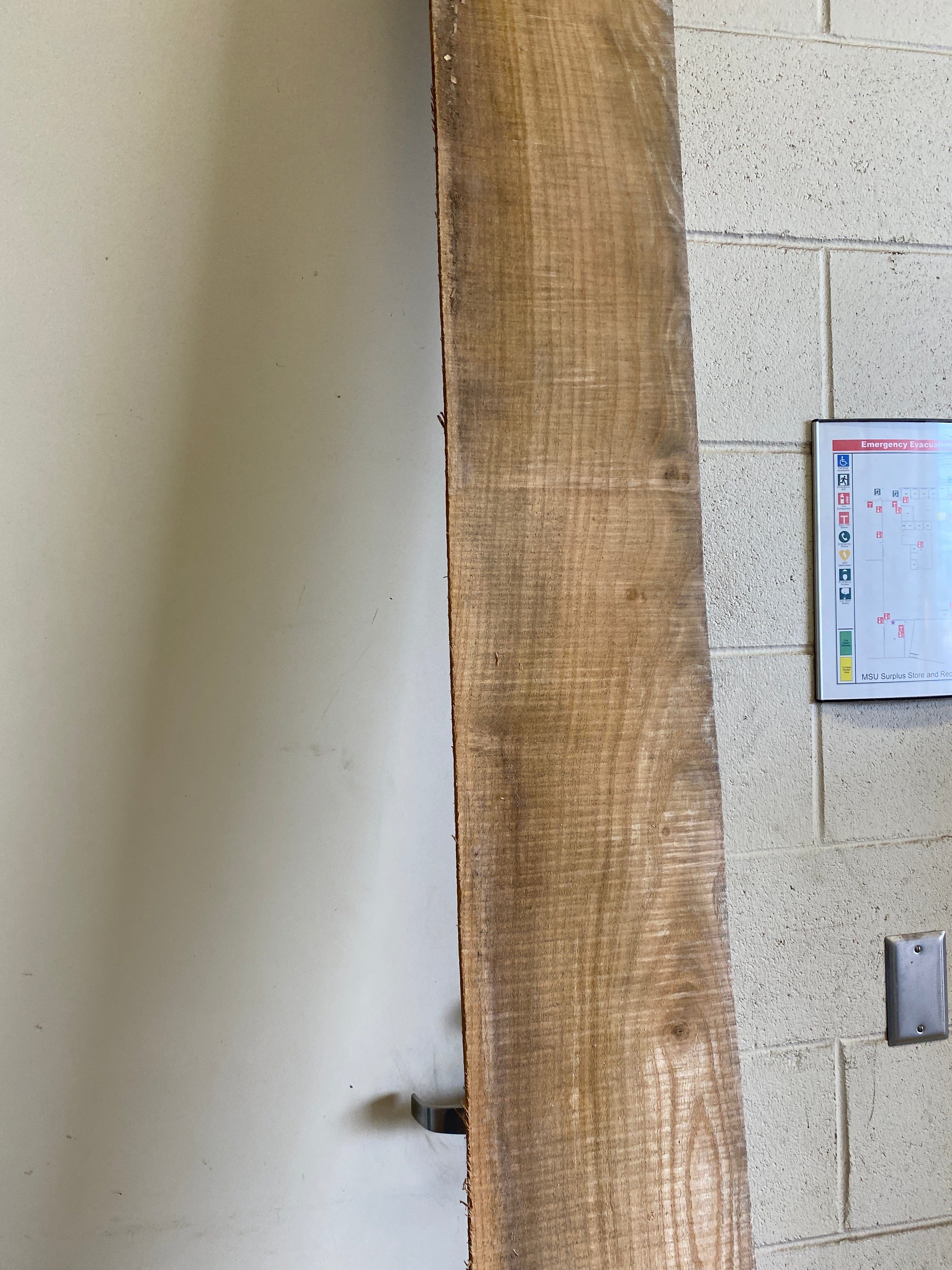 MSU Shadows Flat Board Unknown Species Slab Wood #25