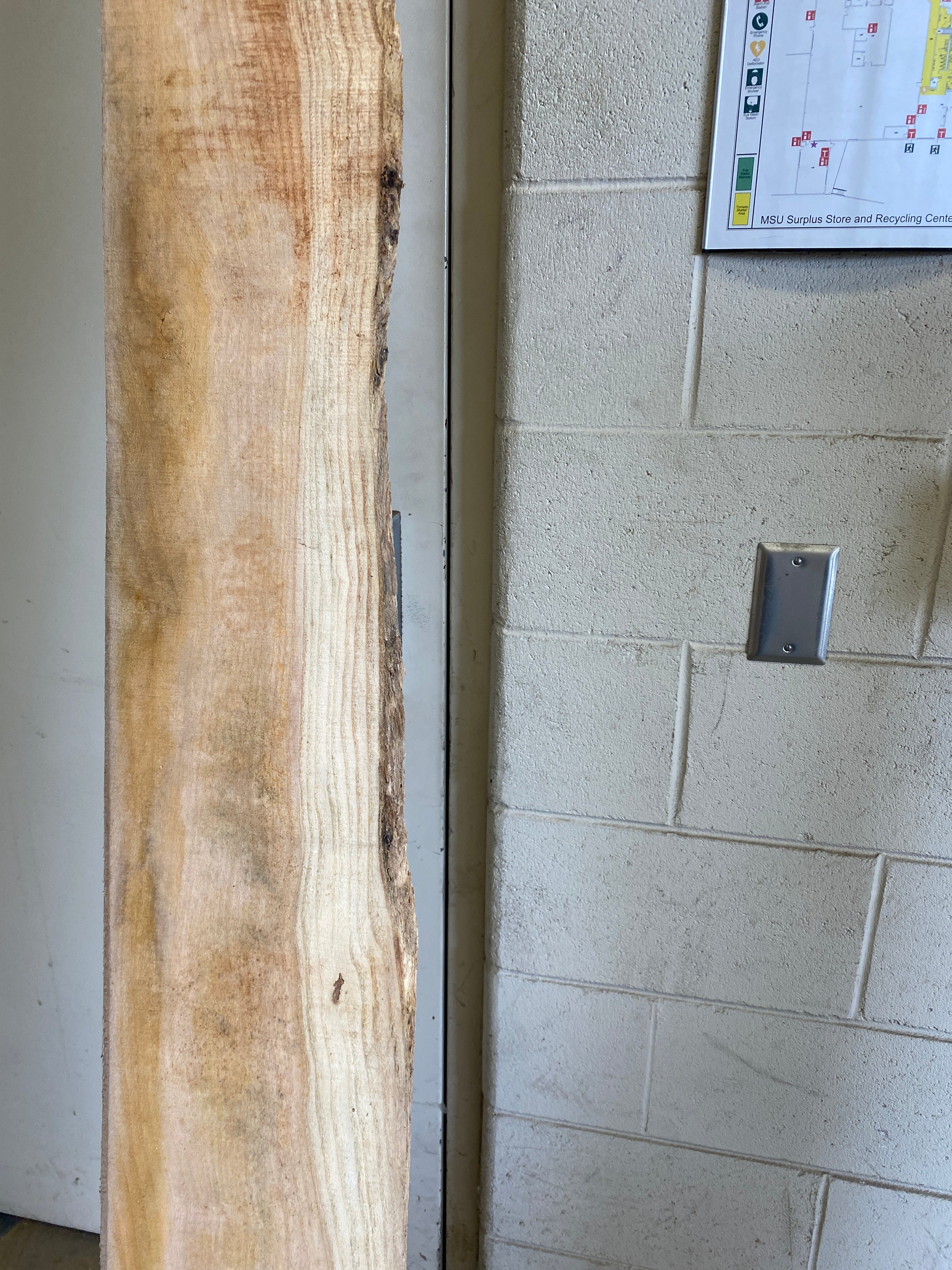 MSU Shadows Flat Board Unknown Species Slab Wood #31