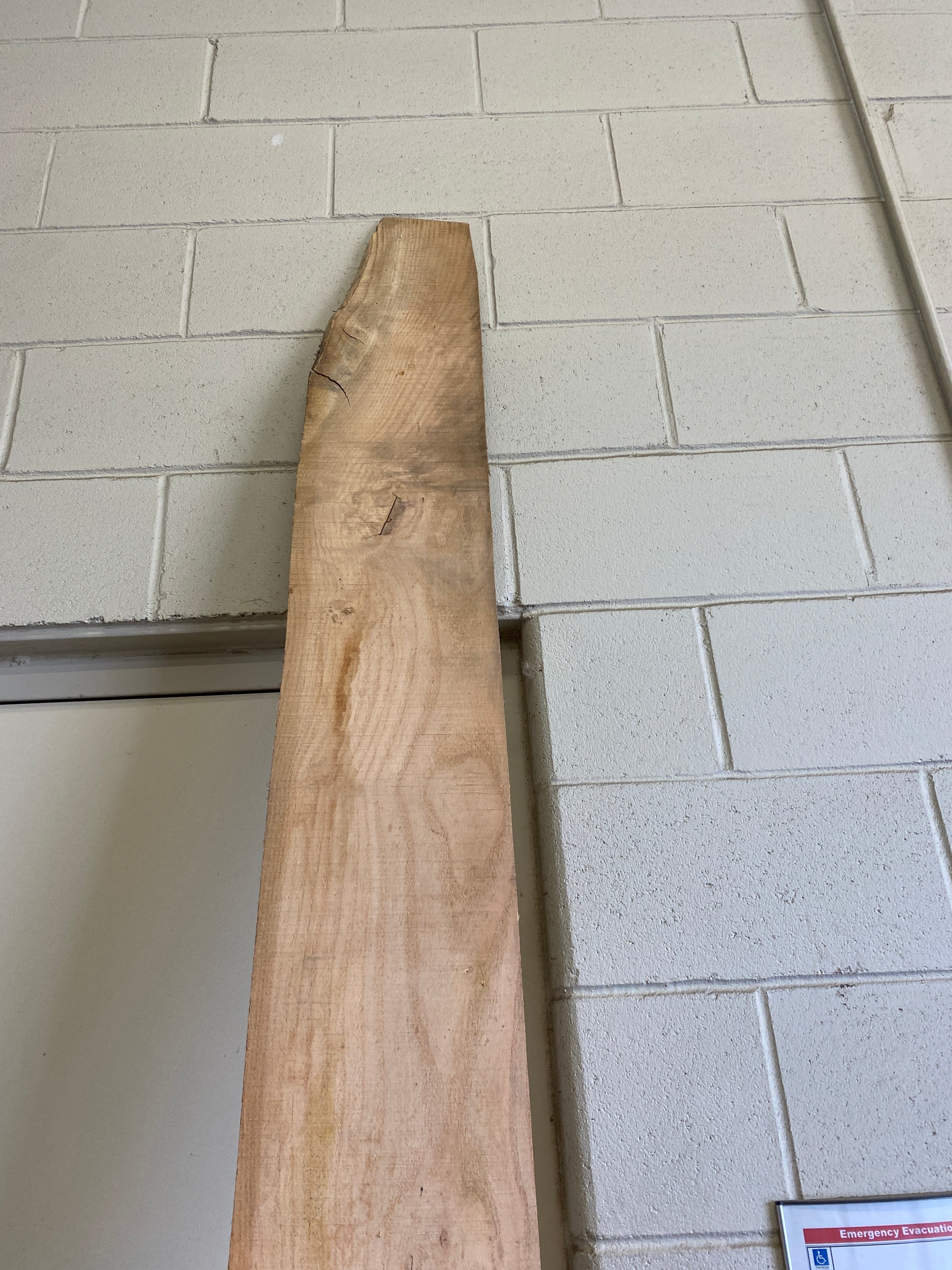 MSU Shadows Flat Board Unknown Species Slab Wood #32