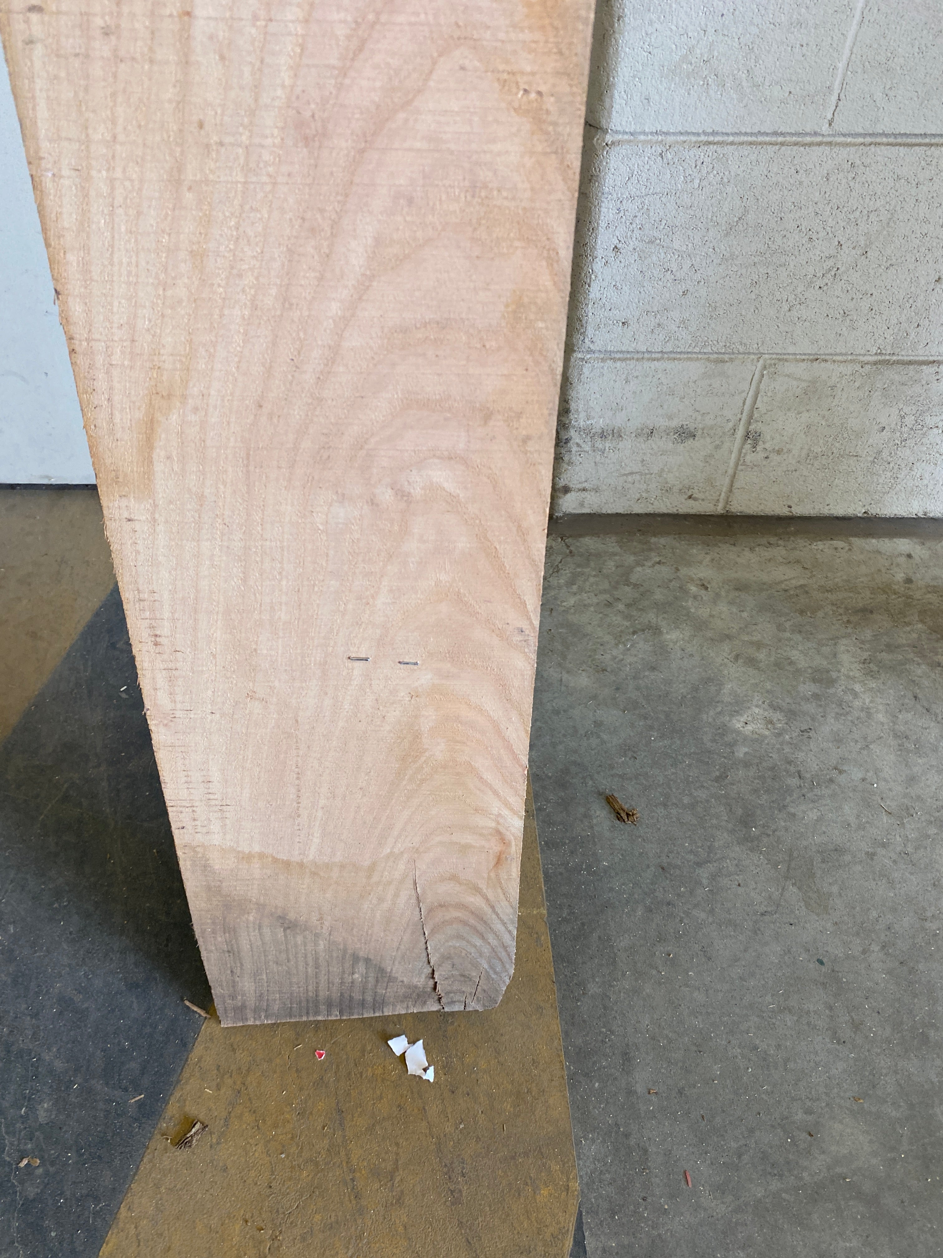 MSU Shadows Flat Board Unknown Species Slab Wood #32