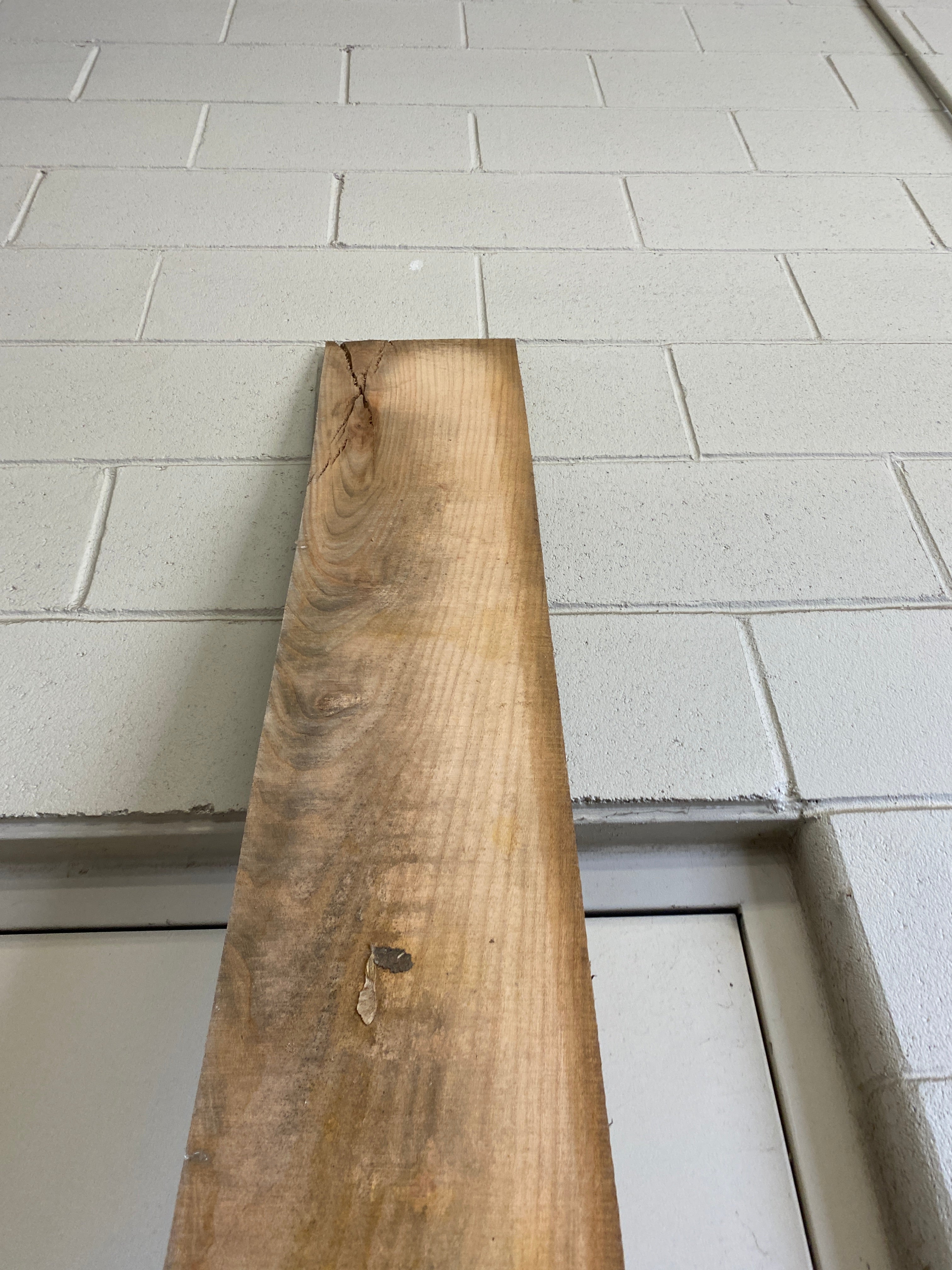 MSU Shadows Flat Board Unknown Species Slab Wood #34